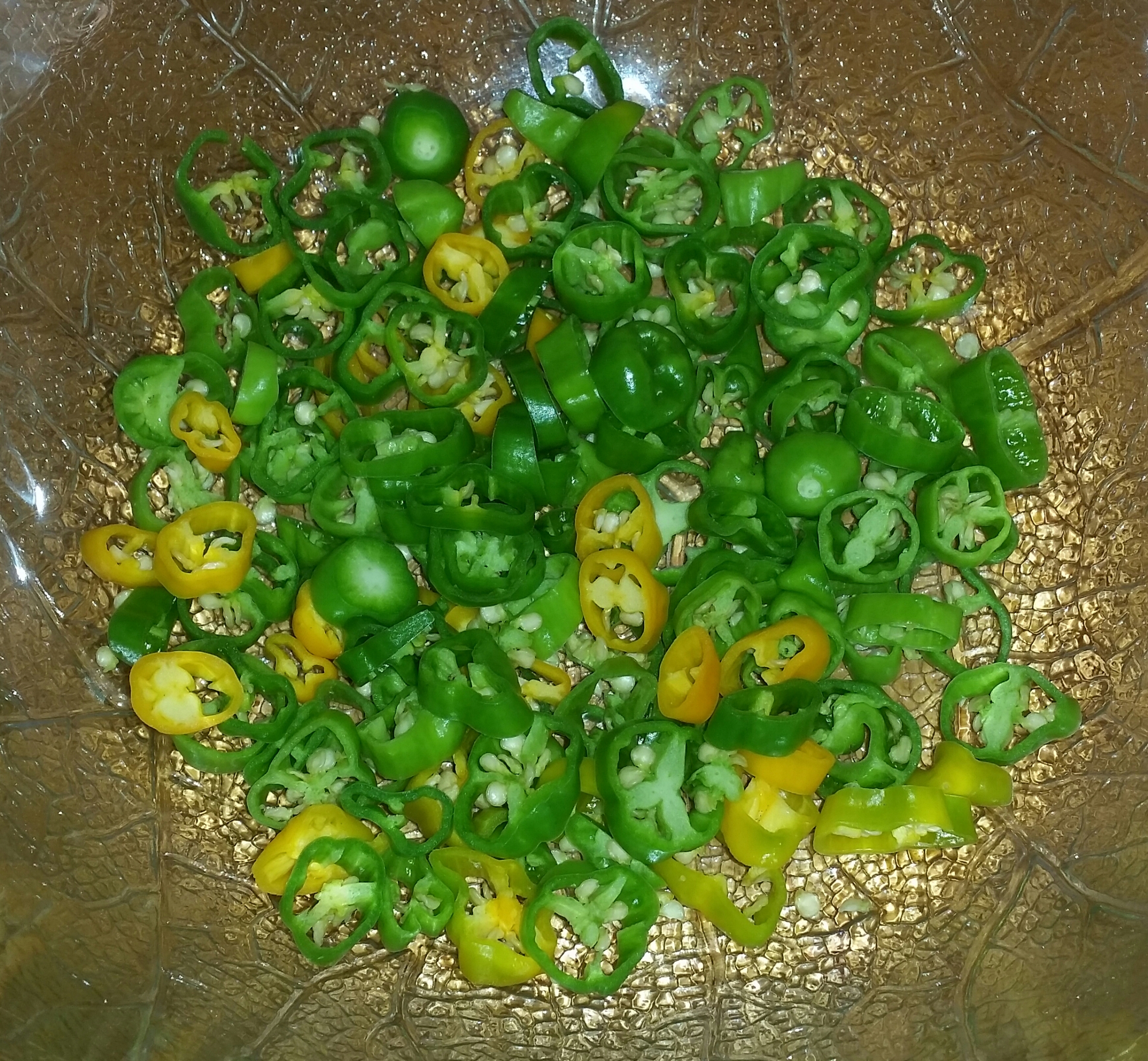 20230817_144115-1.jpg