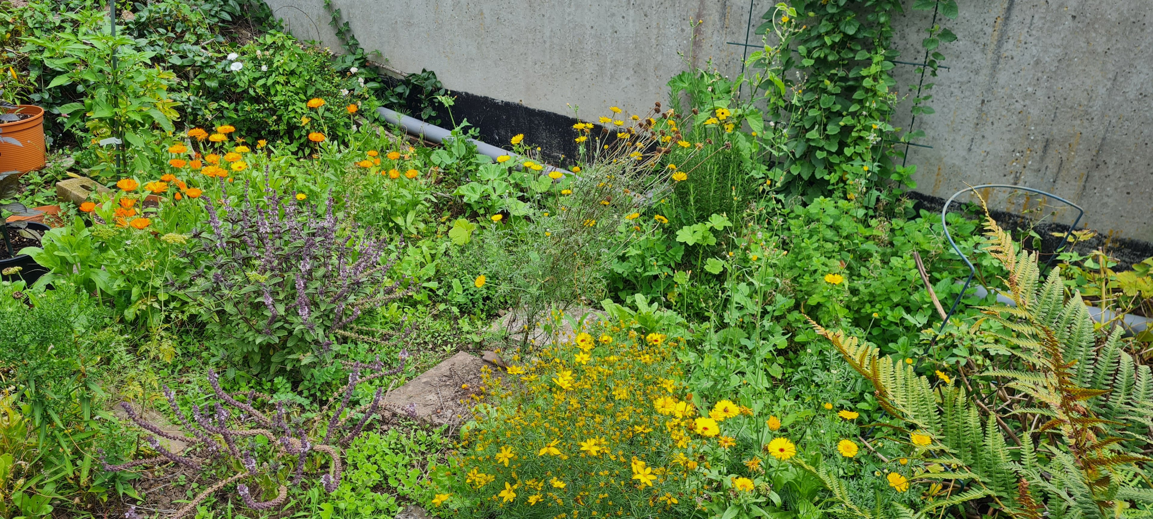 20230828_133336.jpg