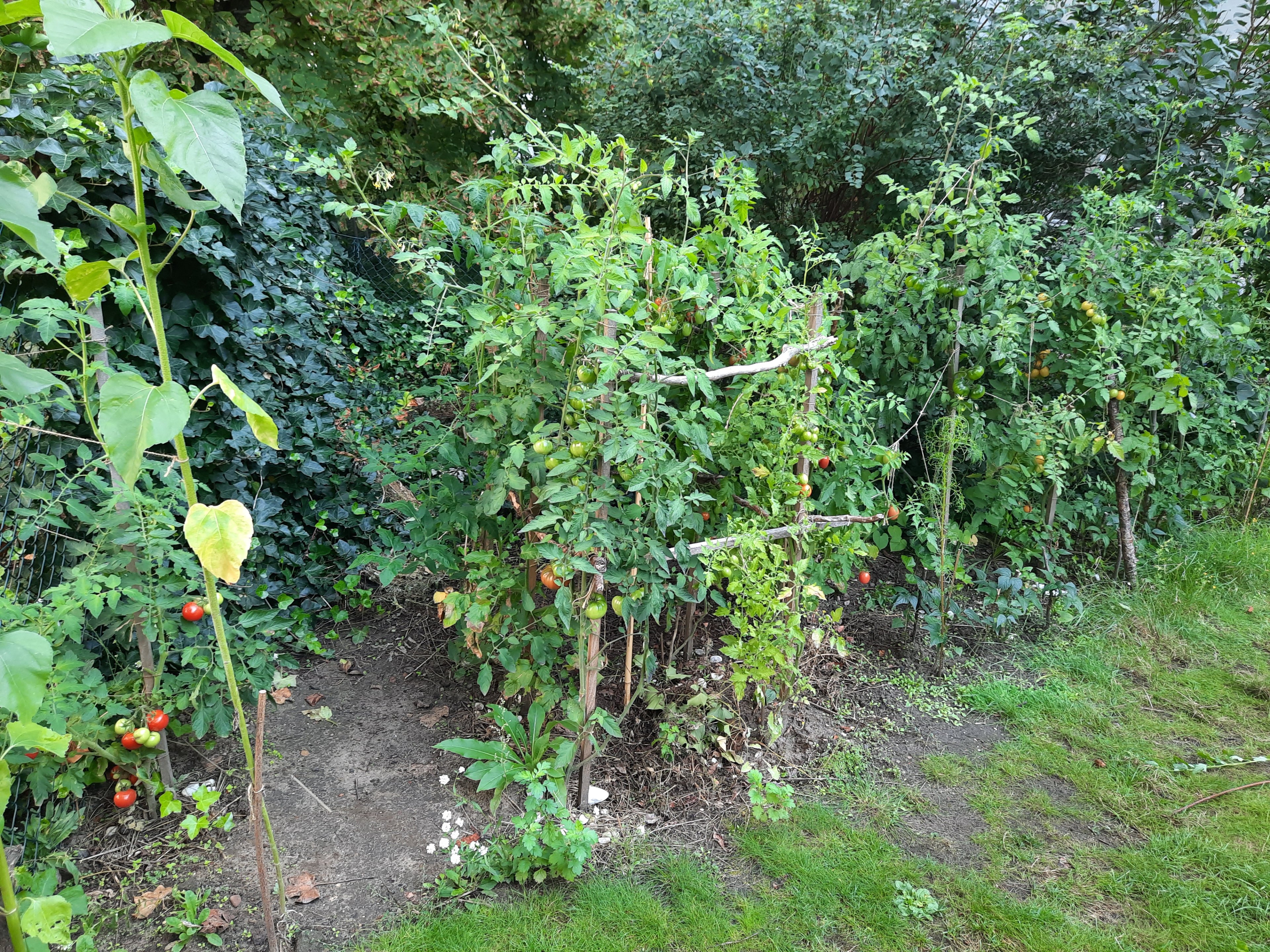 20230901_095631.jpg