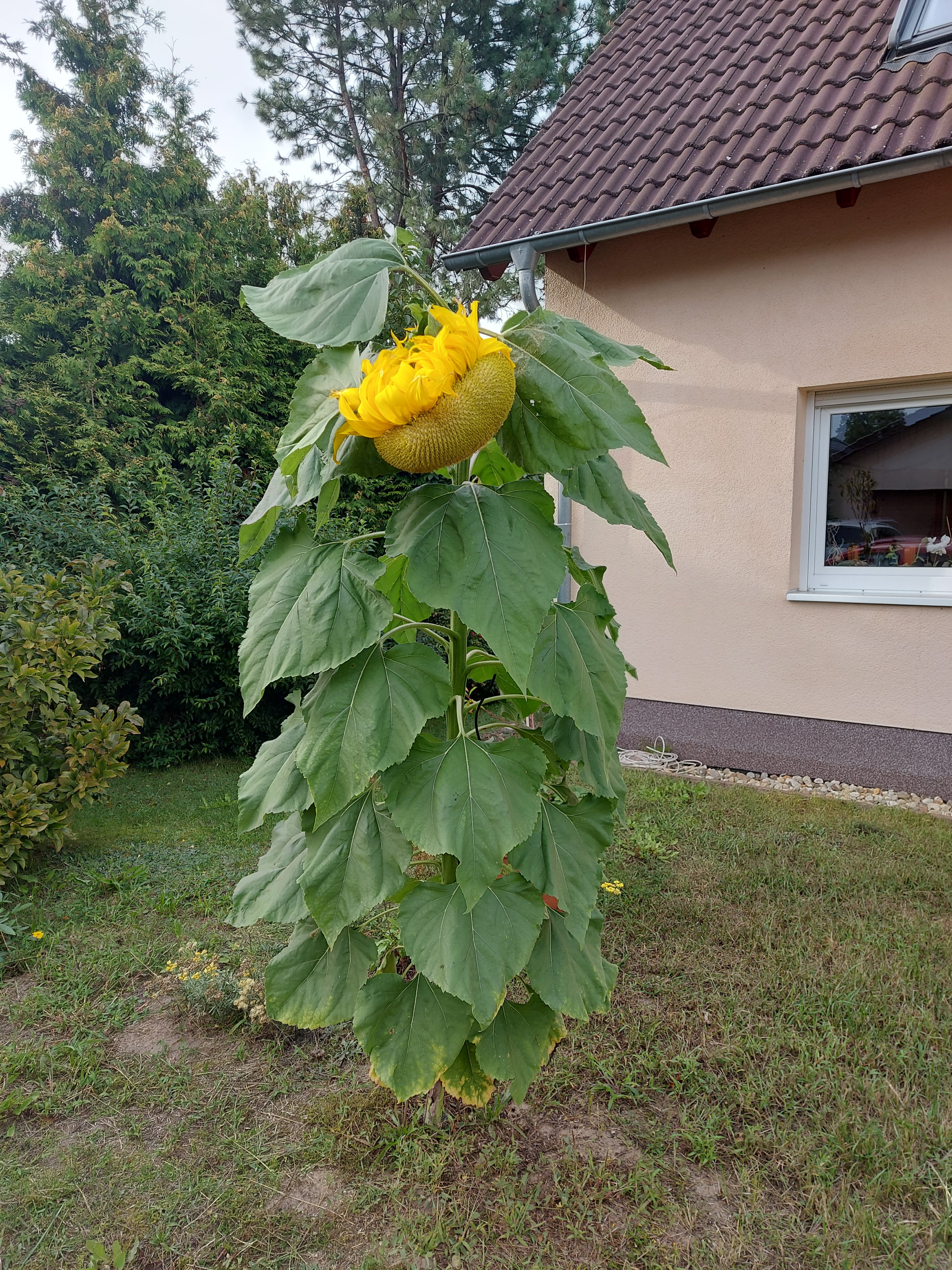 20230903_172327.jpg