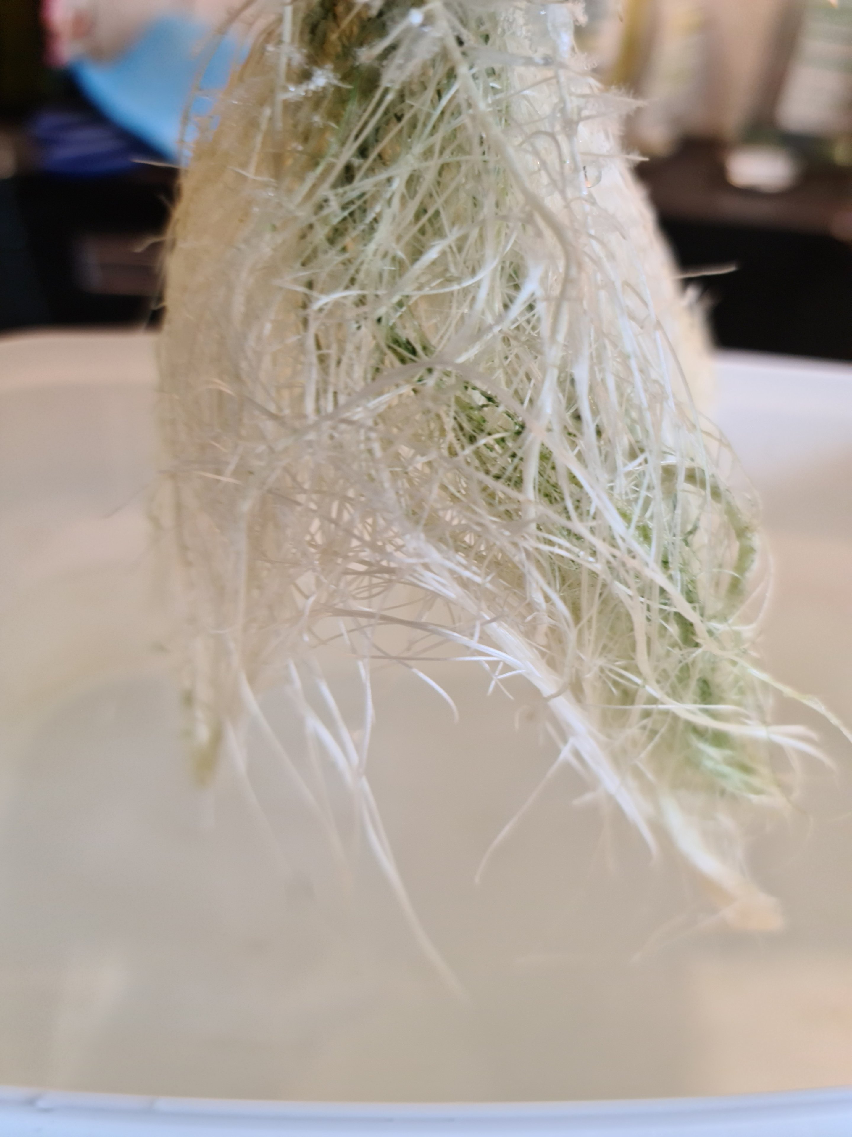 20230917_103513.jpg