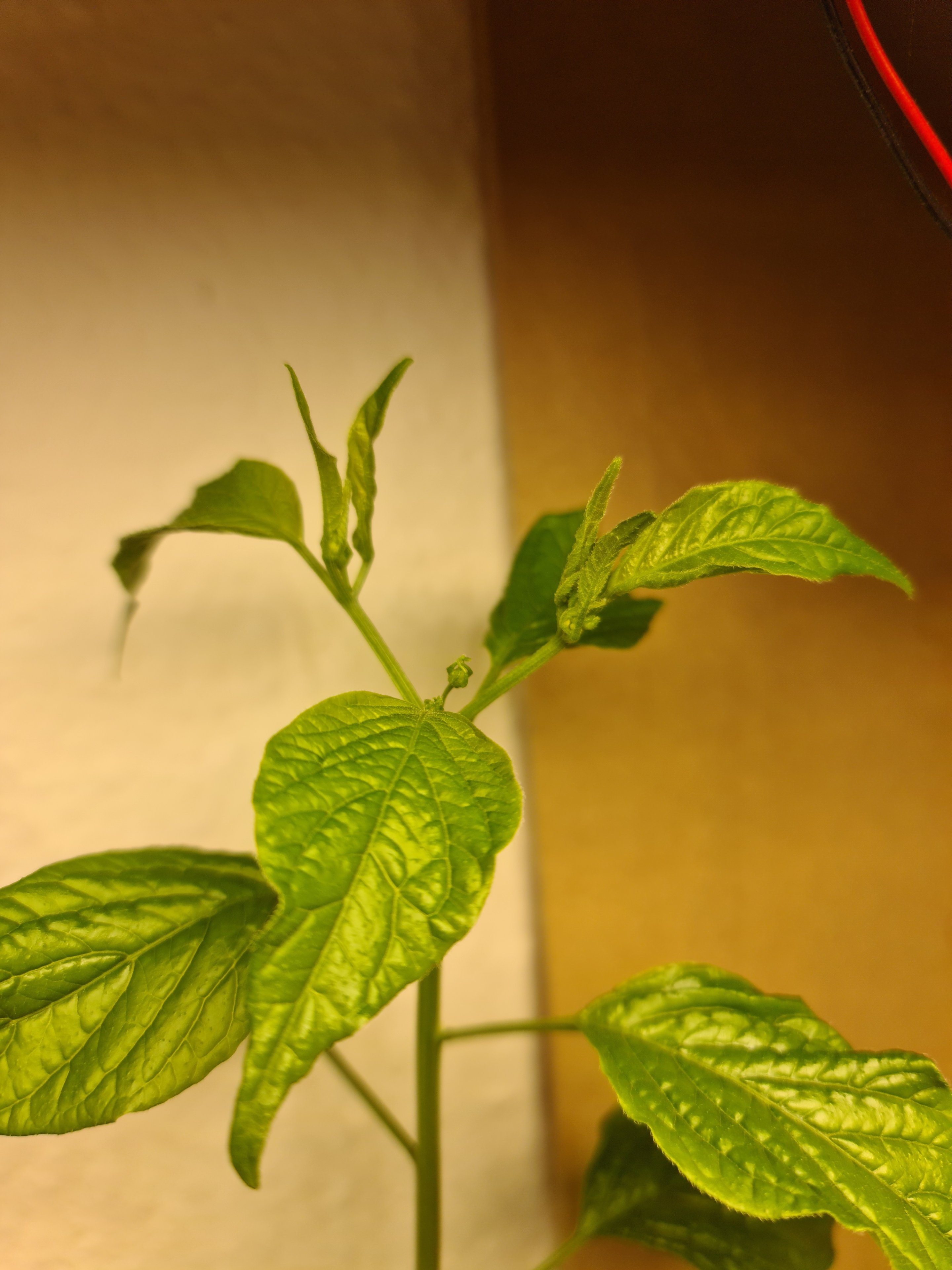 20231006_114527.jpg