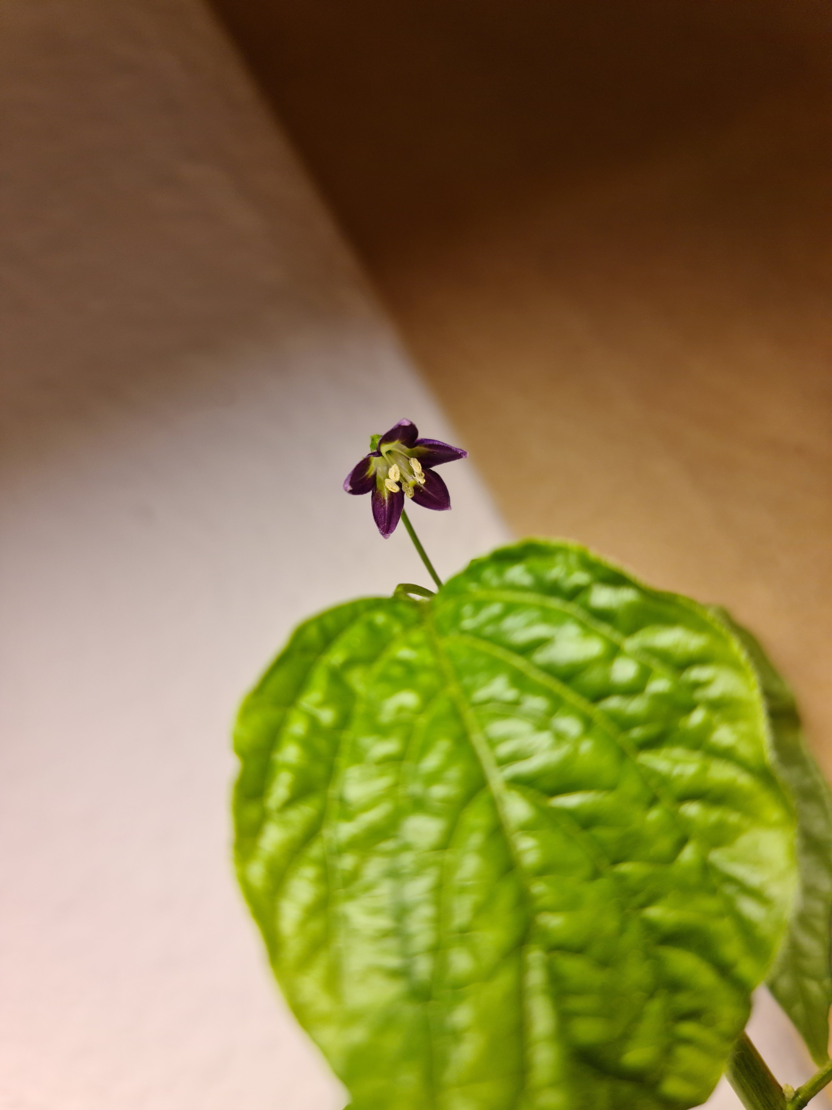 20231016_091035.jpg