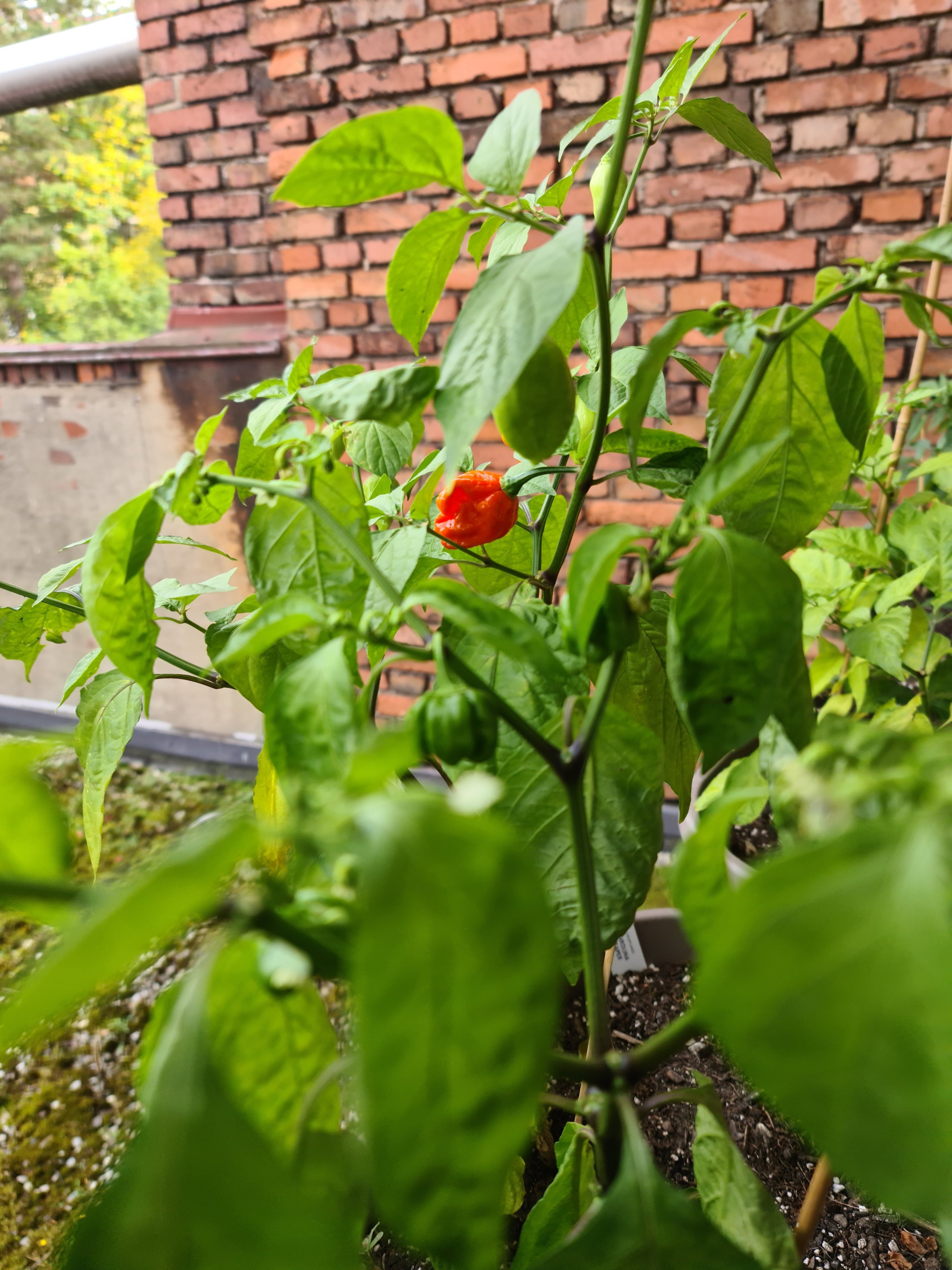 20231018_143457.jpg