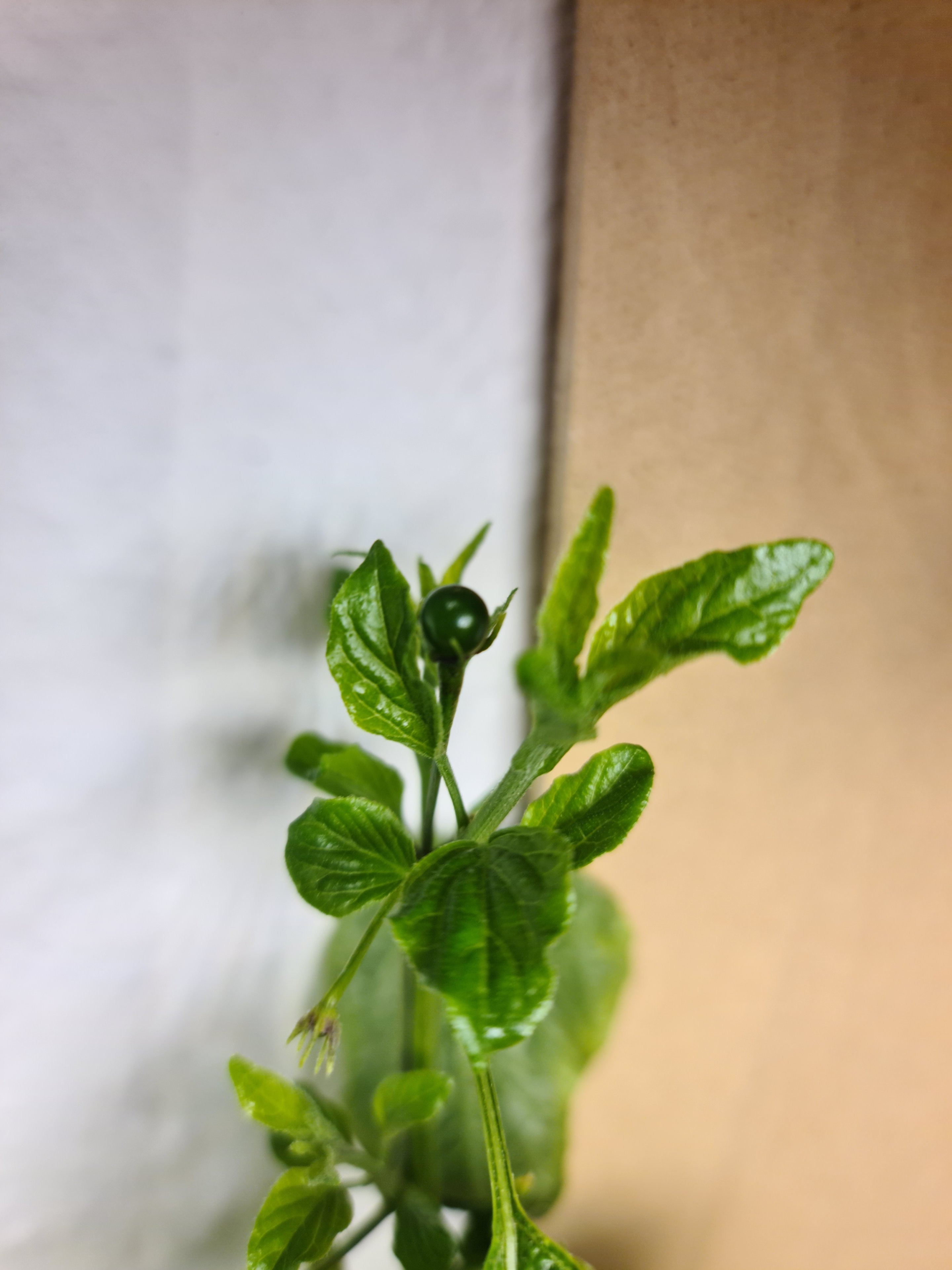 20231025_151709.jpg