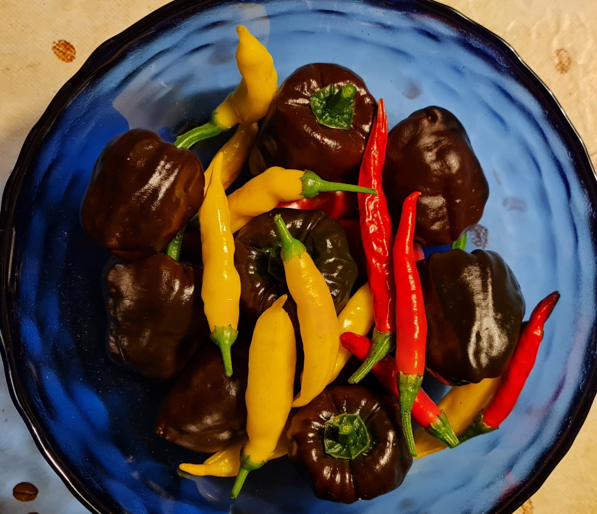 20231206_205219.jpg