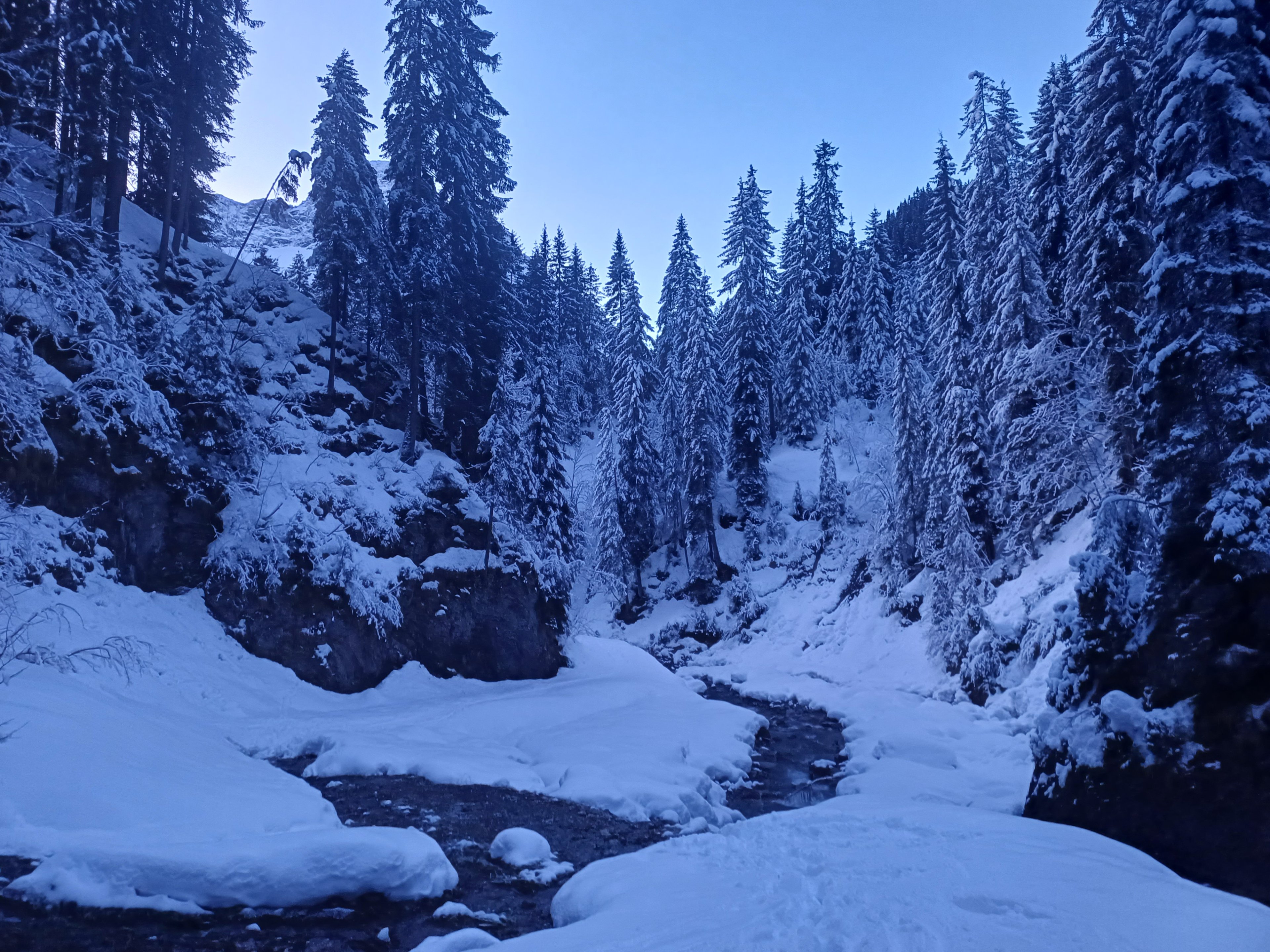 20231217_074520.jpg