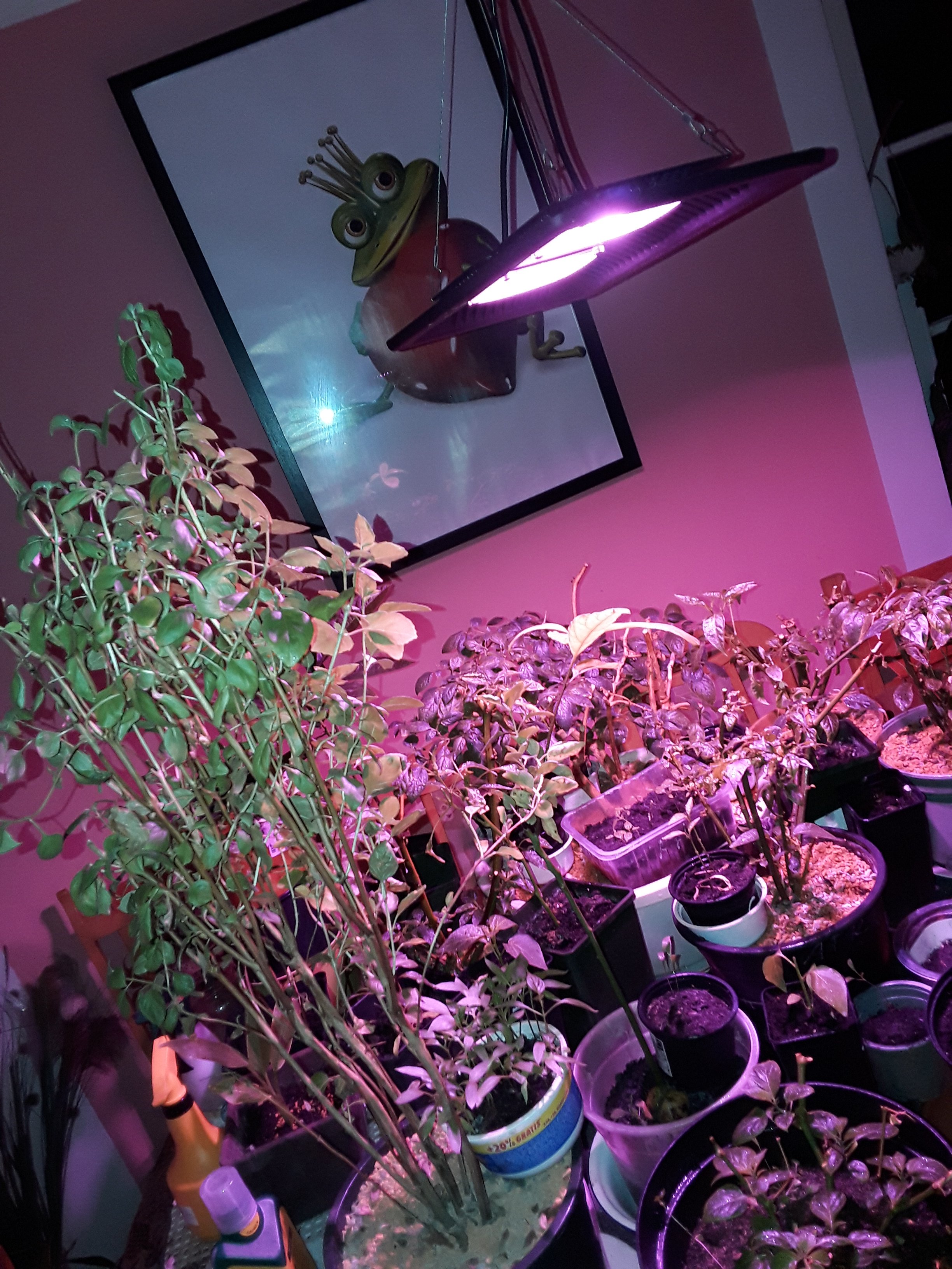 20240220_064140.jpg
