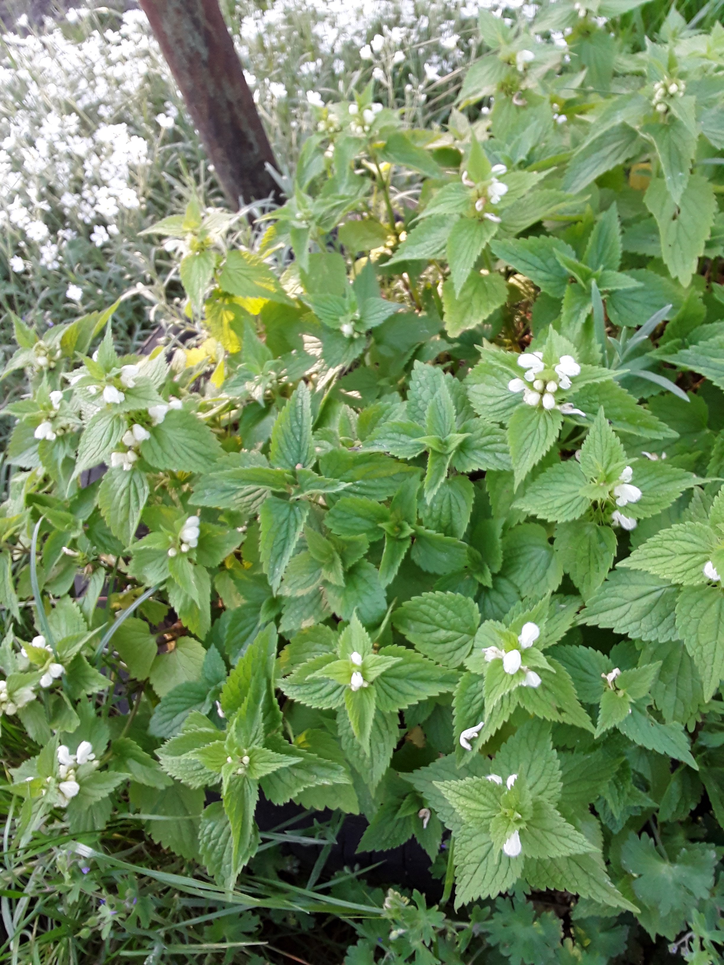 20240514_072246.jpg