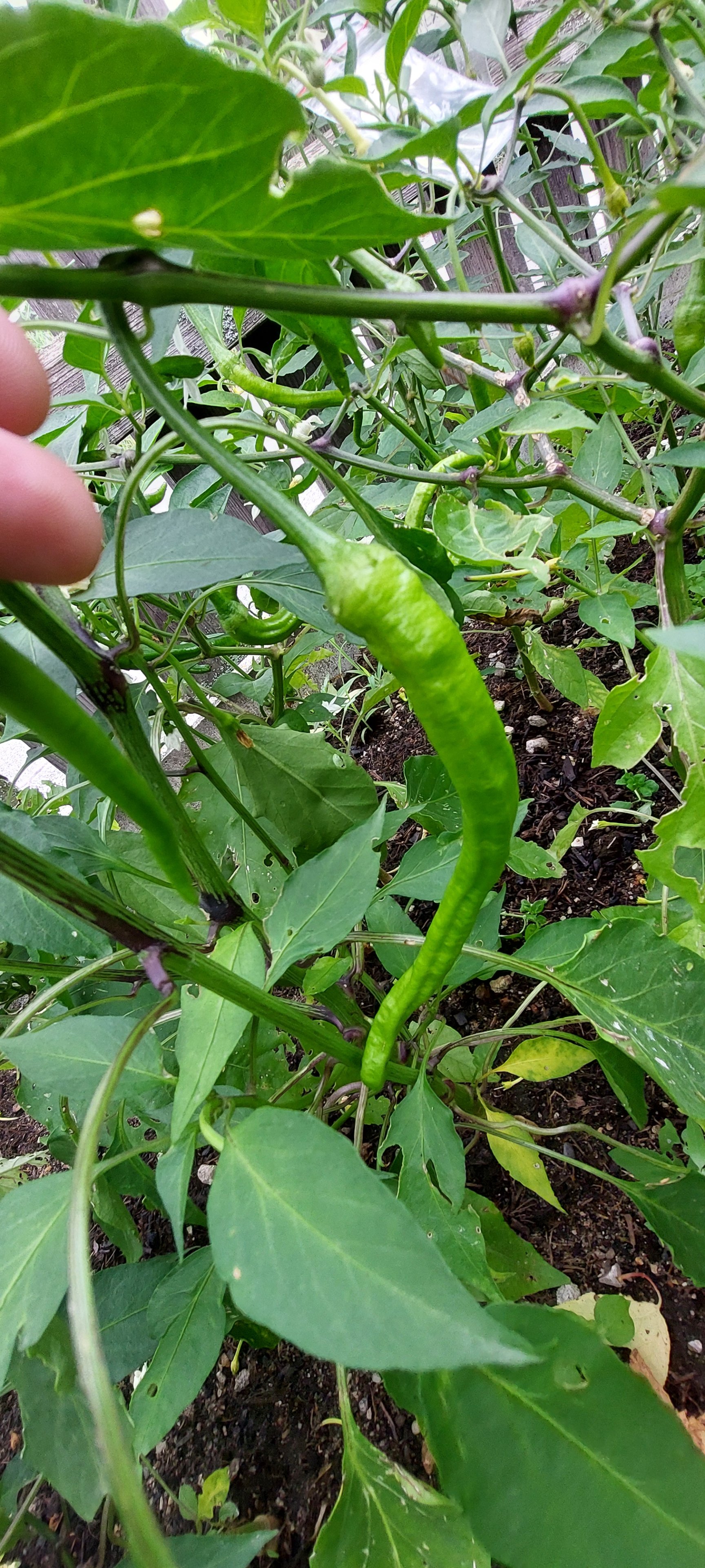 20240630_105104.jpg