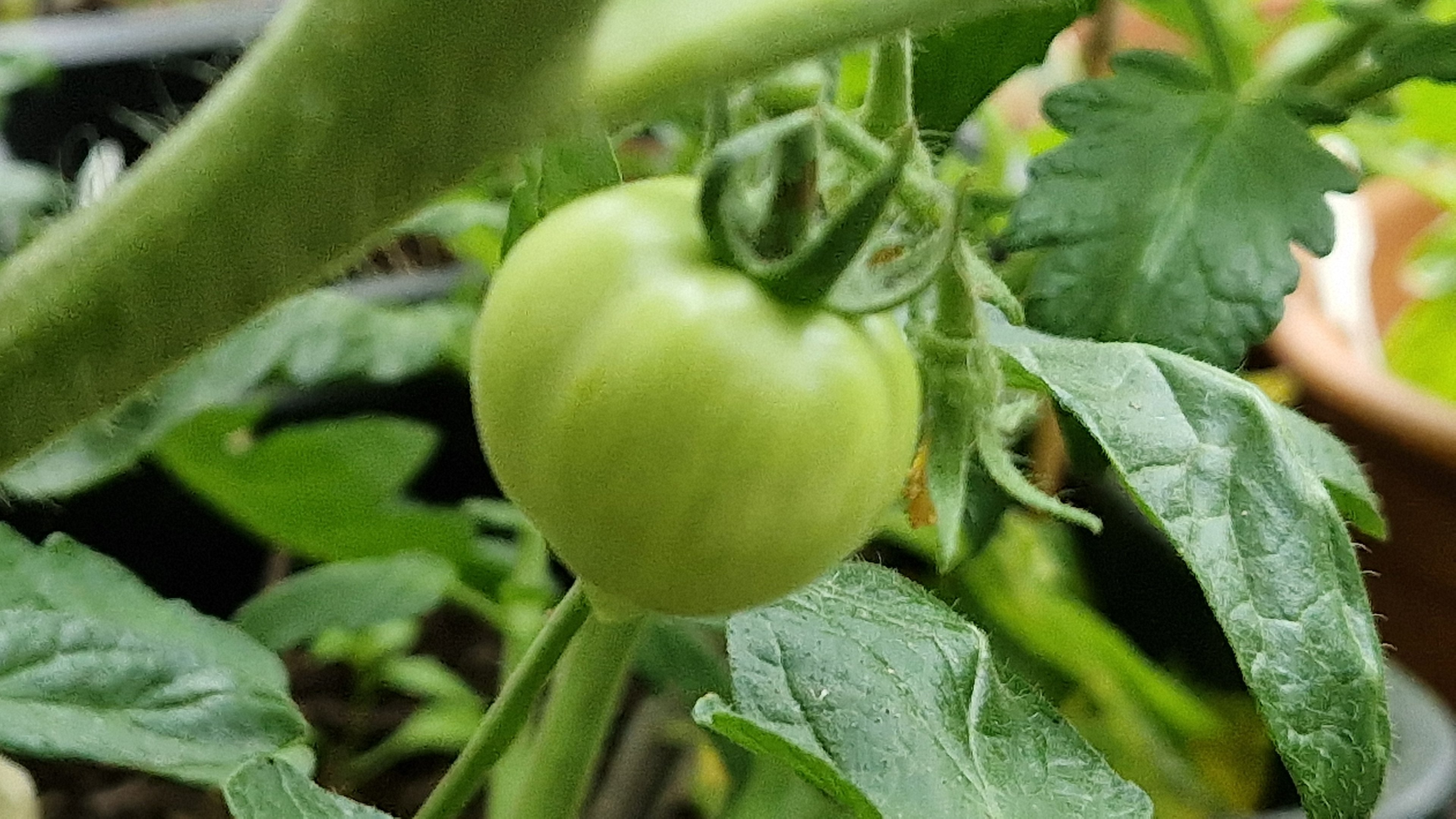 20240705_151739.jpg
