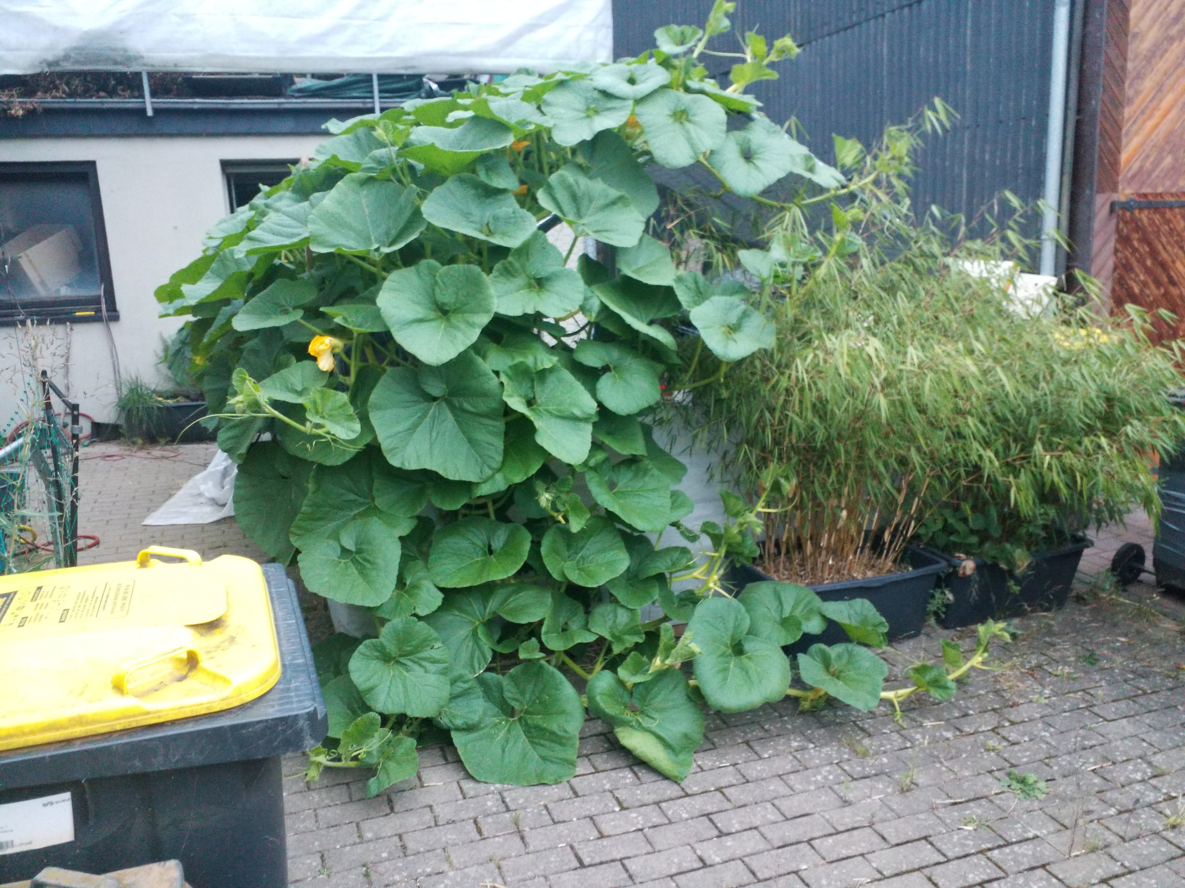 20240816_202712.jpg