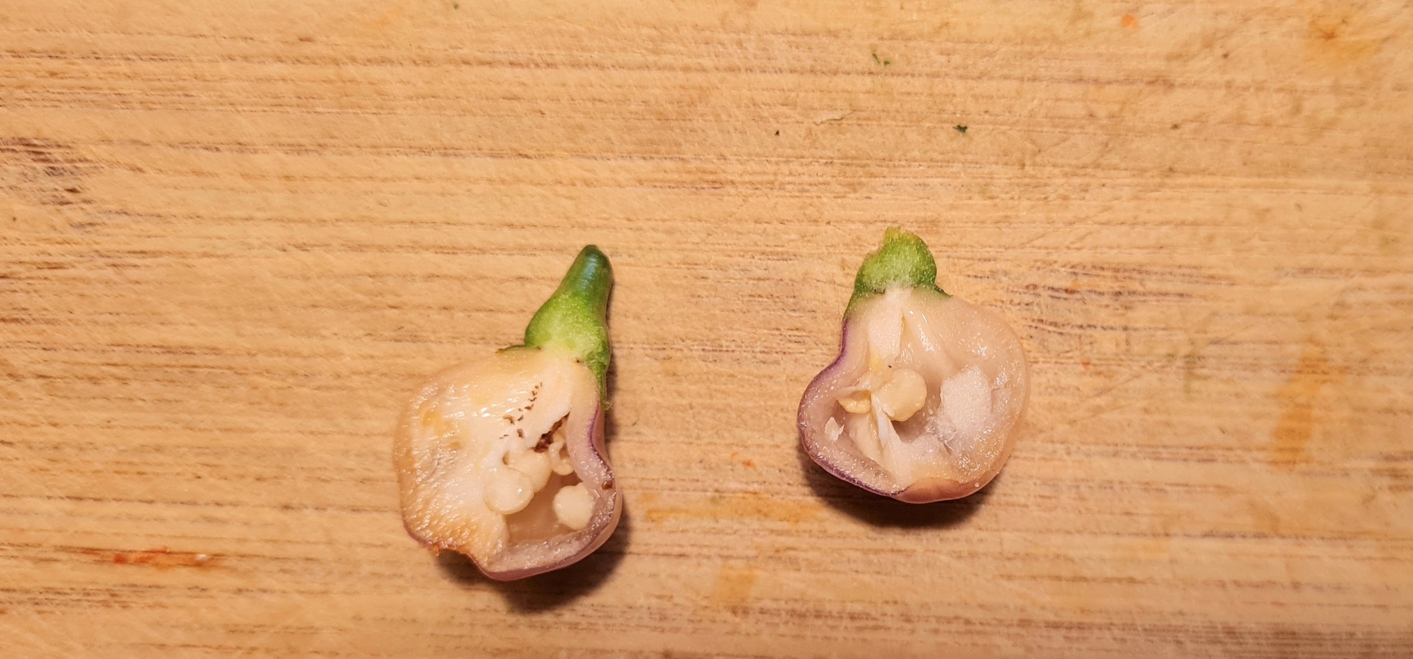20240827_201150.jpg