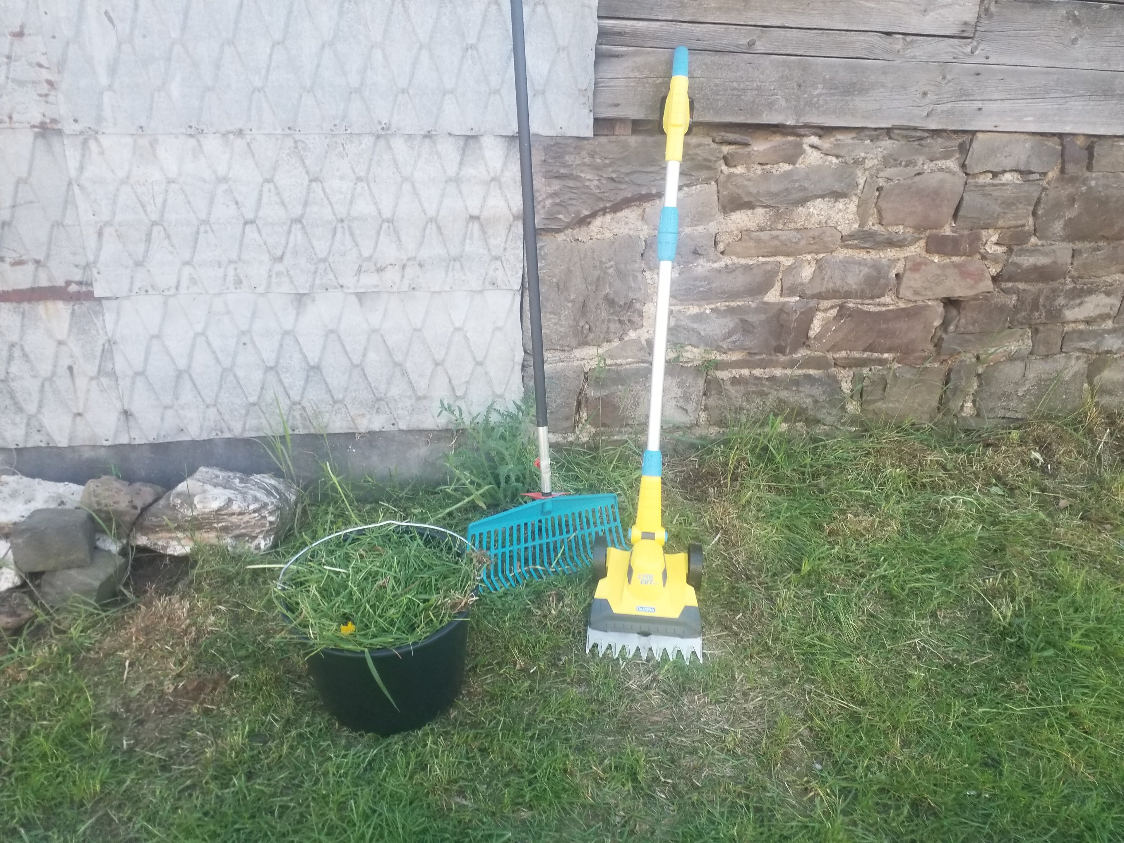 20250513_170830.jpg