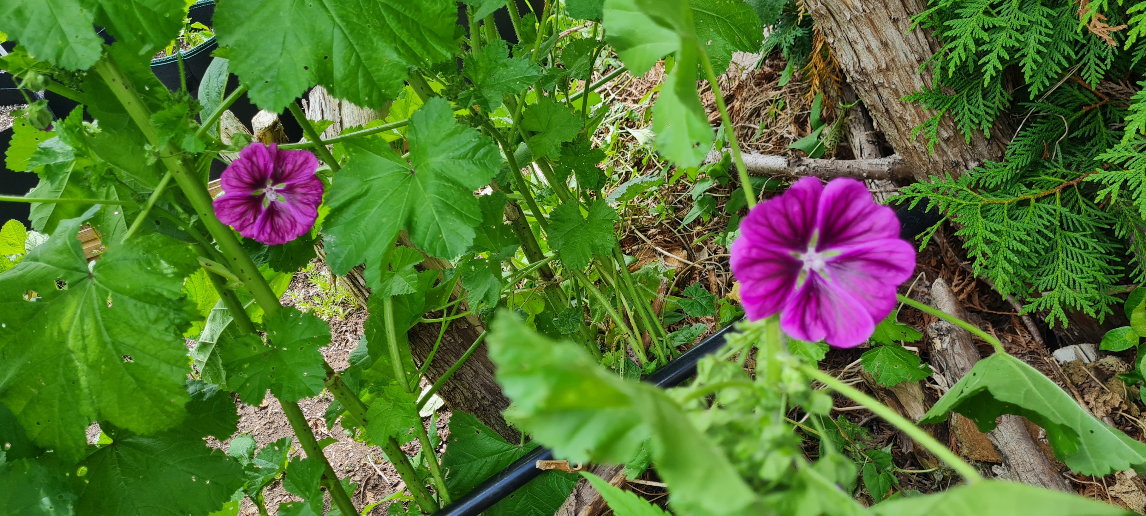 20250520_143719.jpg