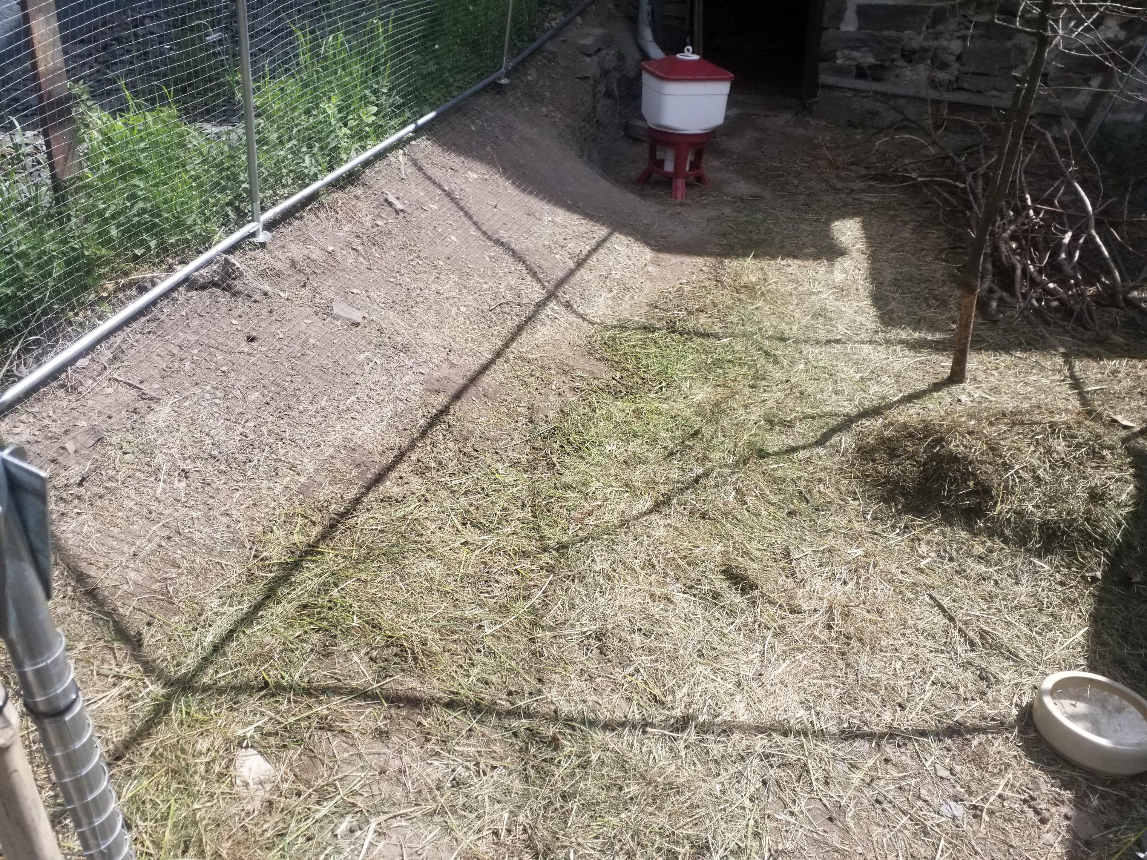 20250523_105753.jpg