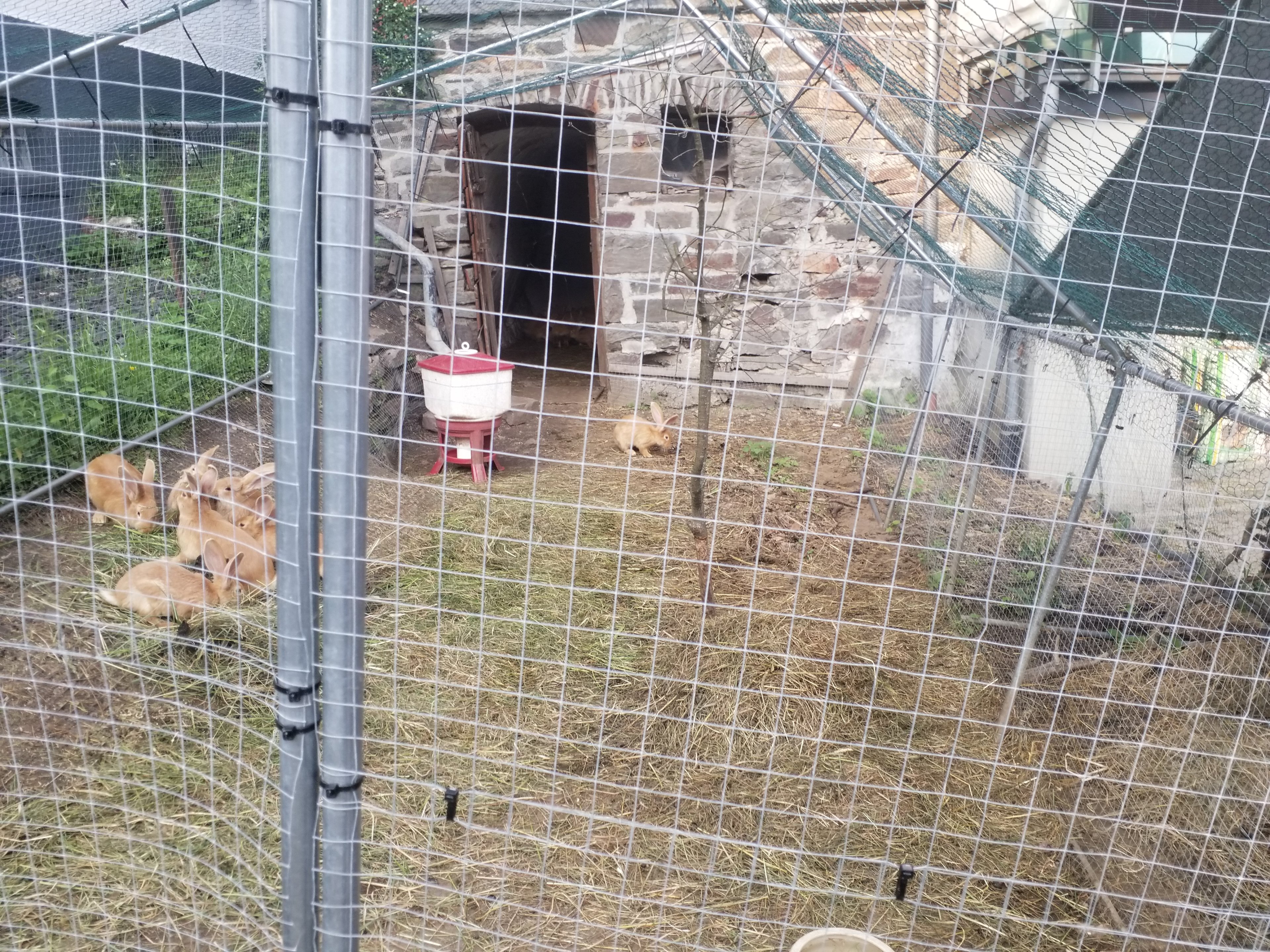 20250603_184424.jpg