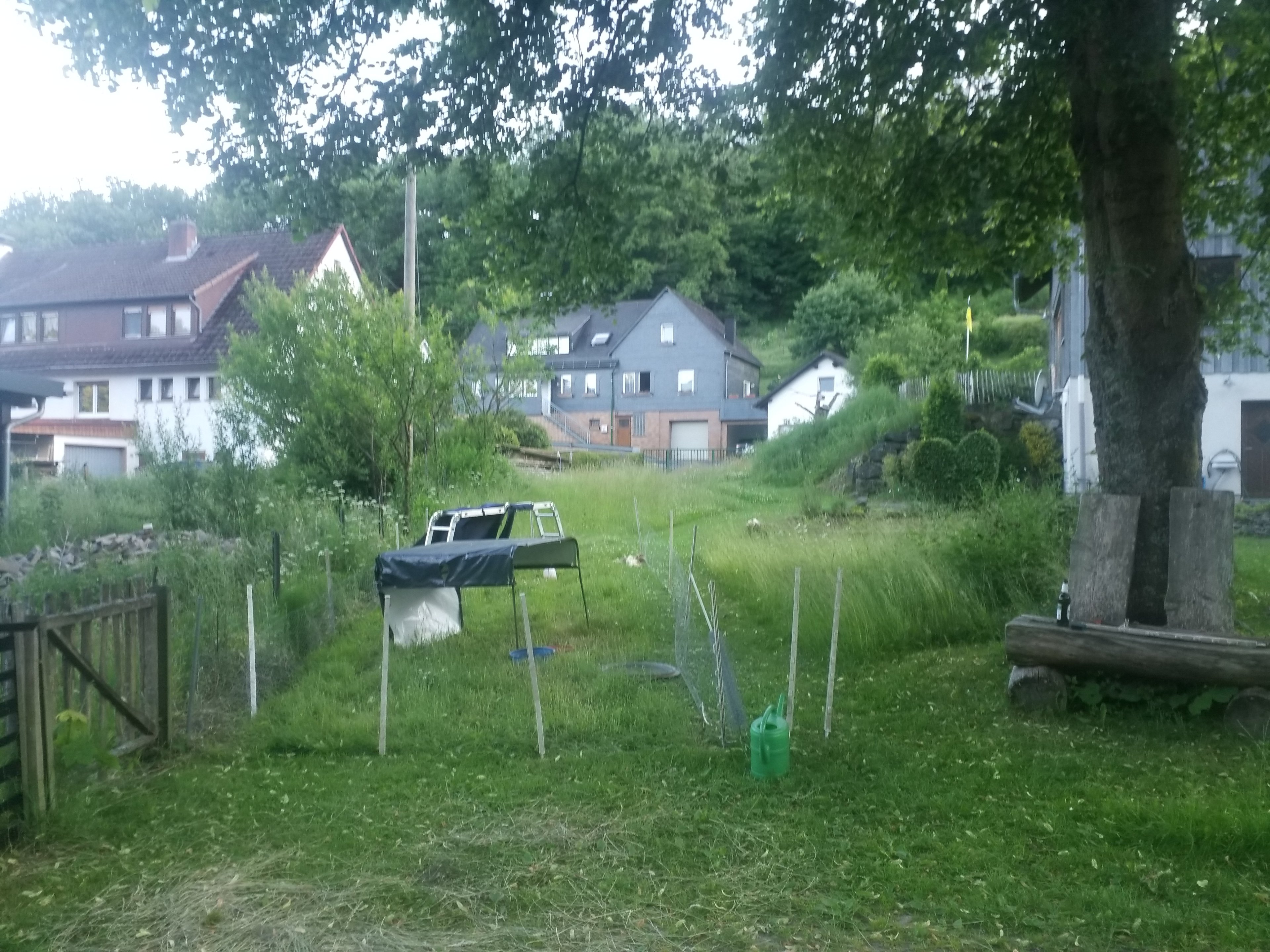 20250619_203420.jpg