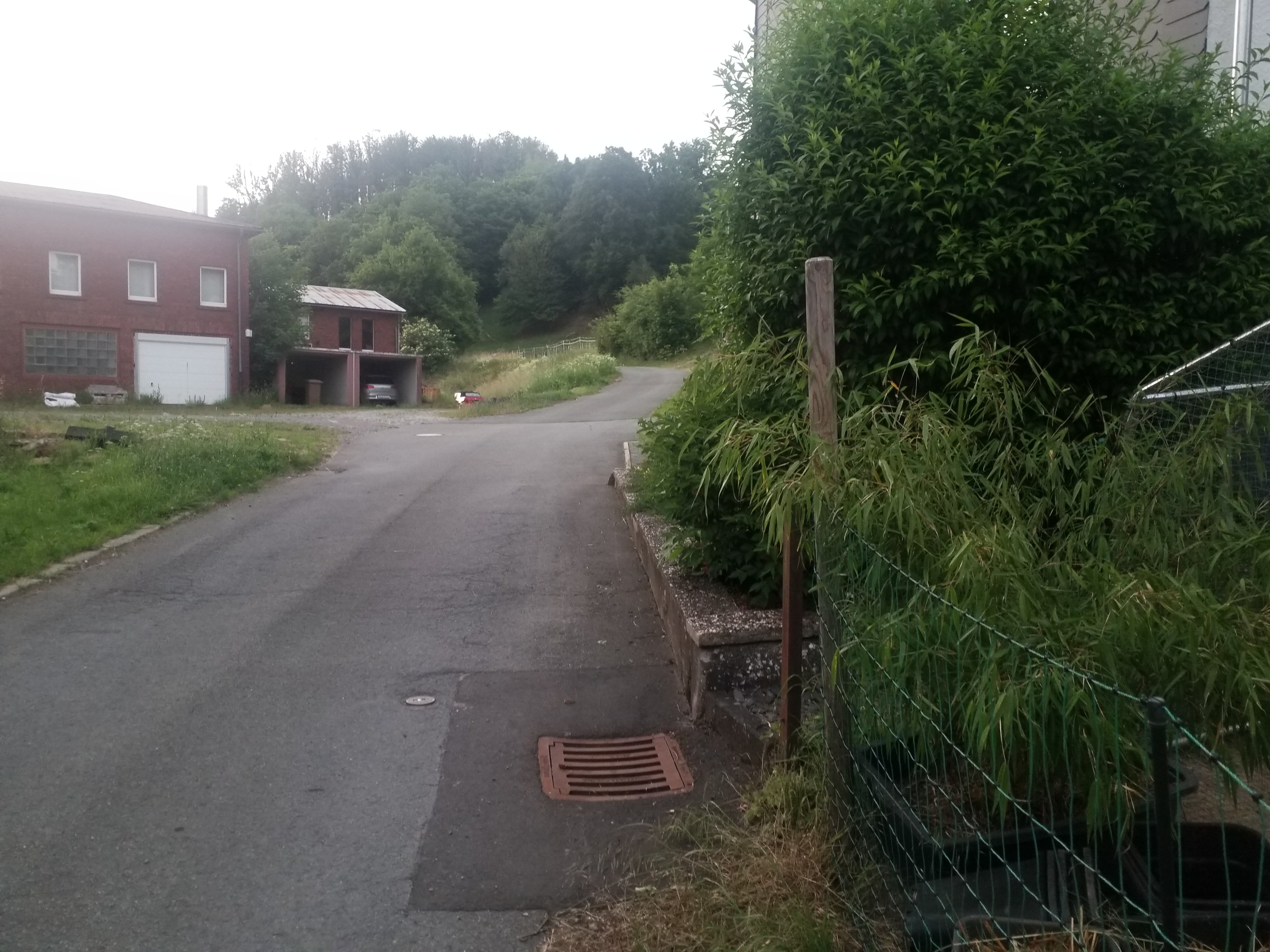 20250622_211516.jpg