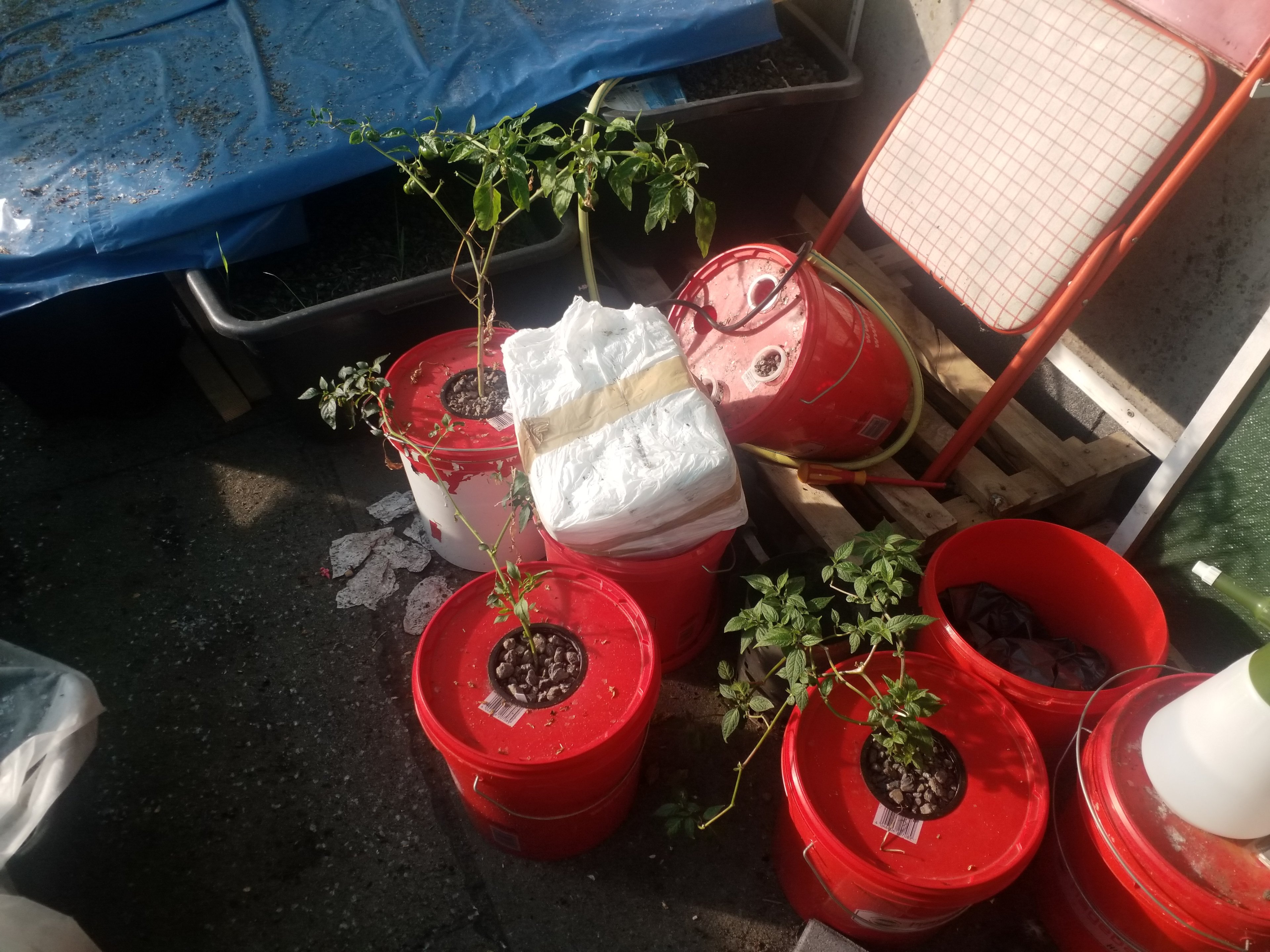 20250701_191113.jpg