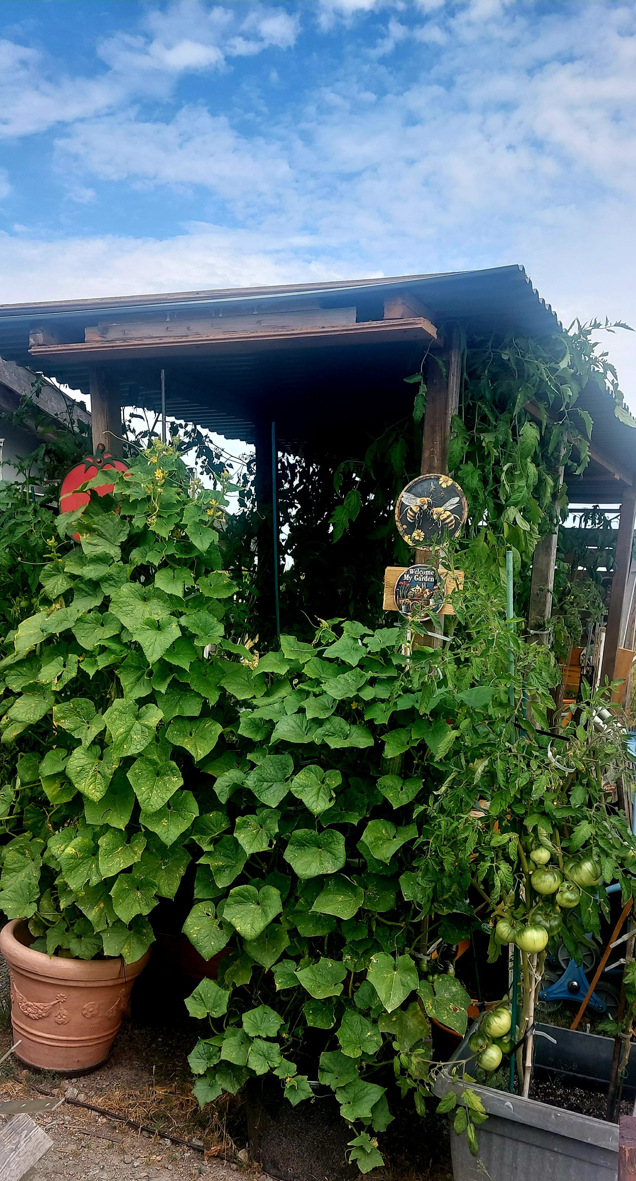 20250713_093847.jpg