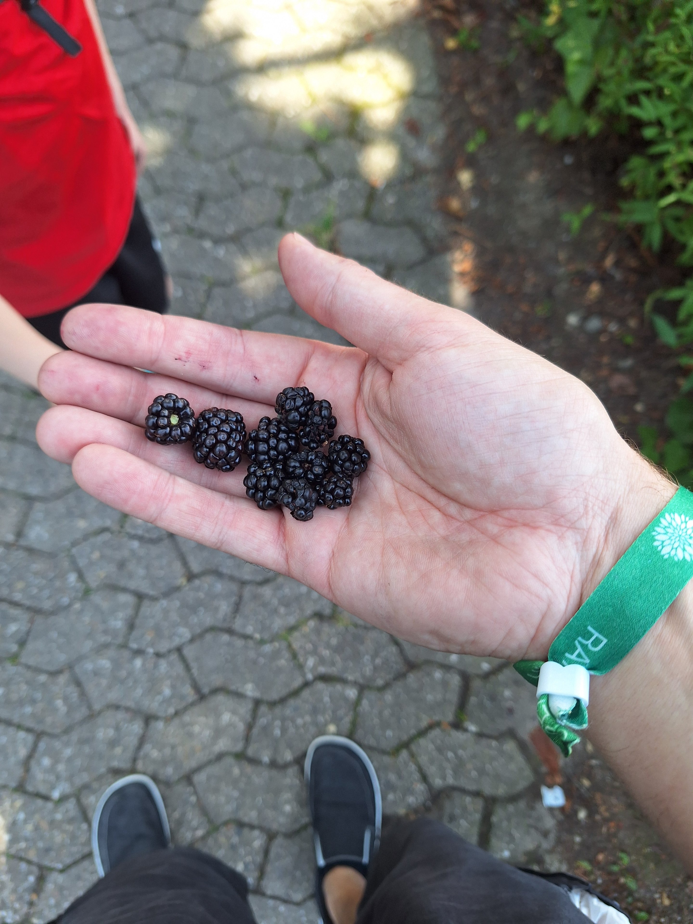 20250718_145123.jpg