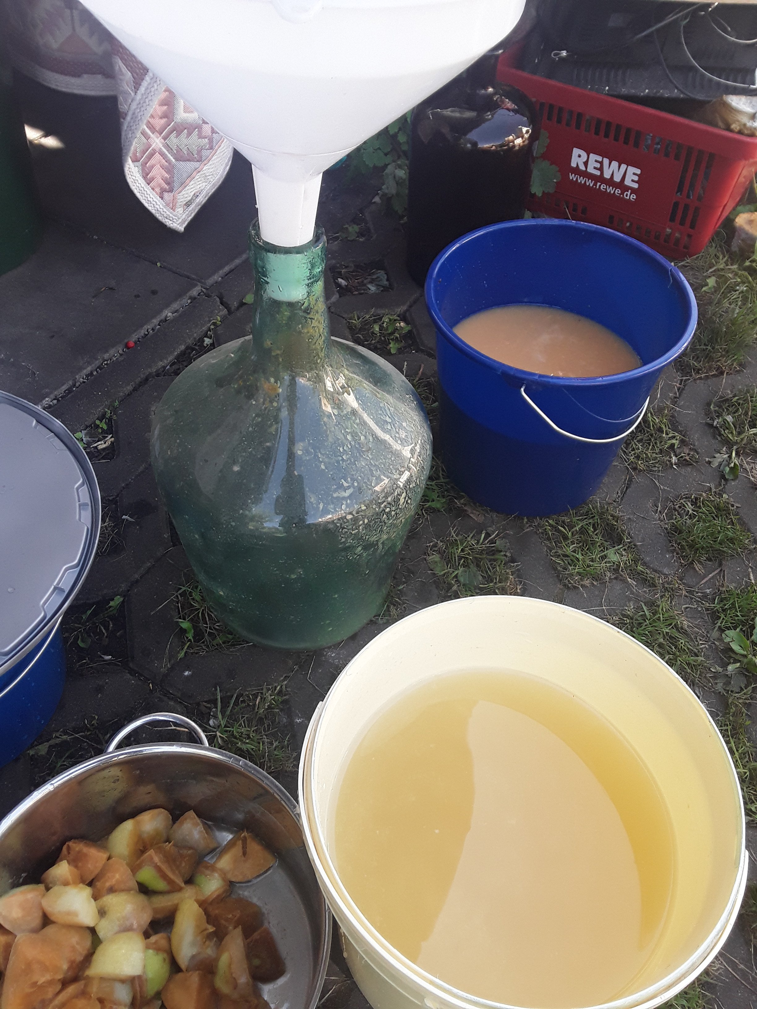 20250818_134908.jpg