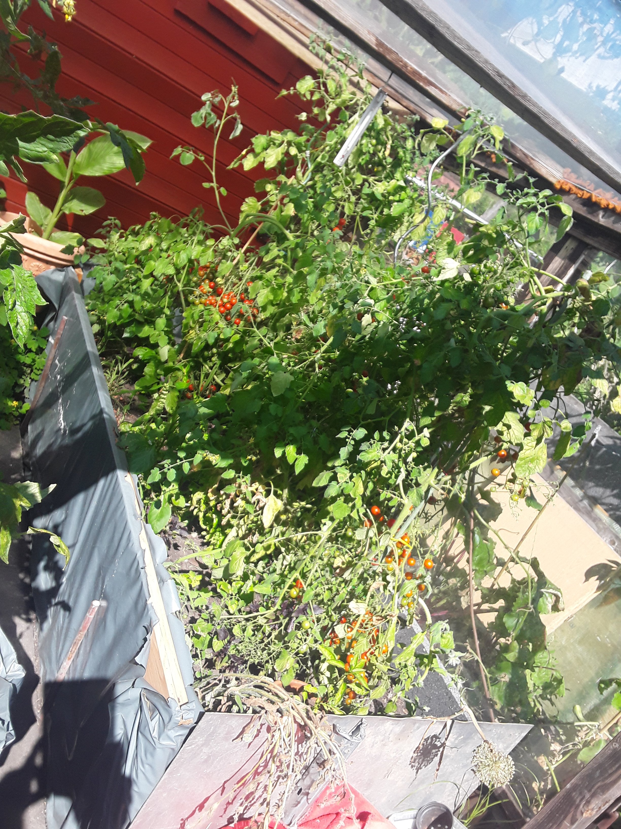 20250818_143241.jpg