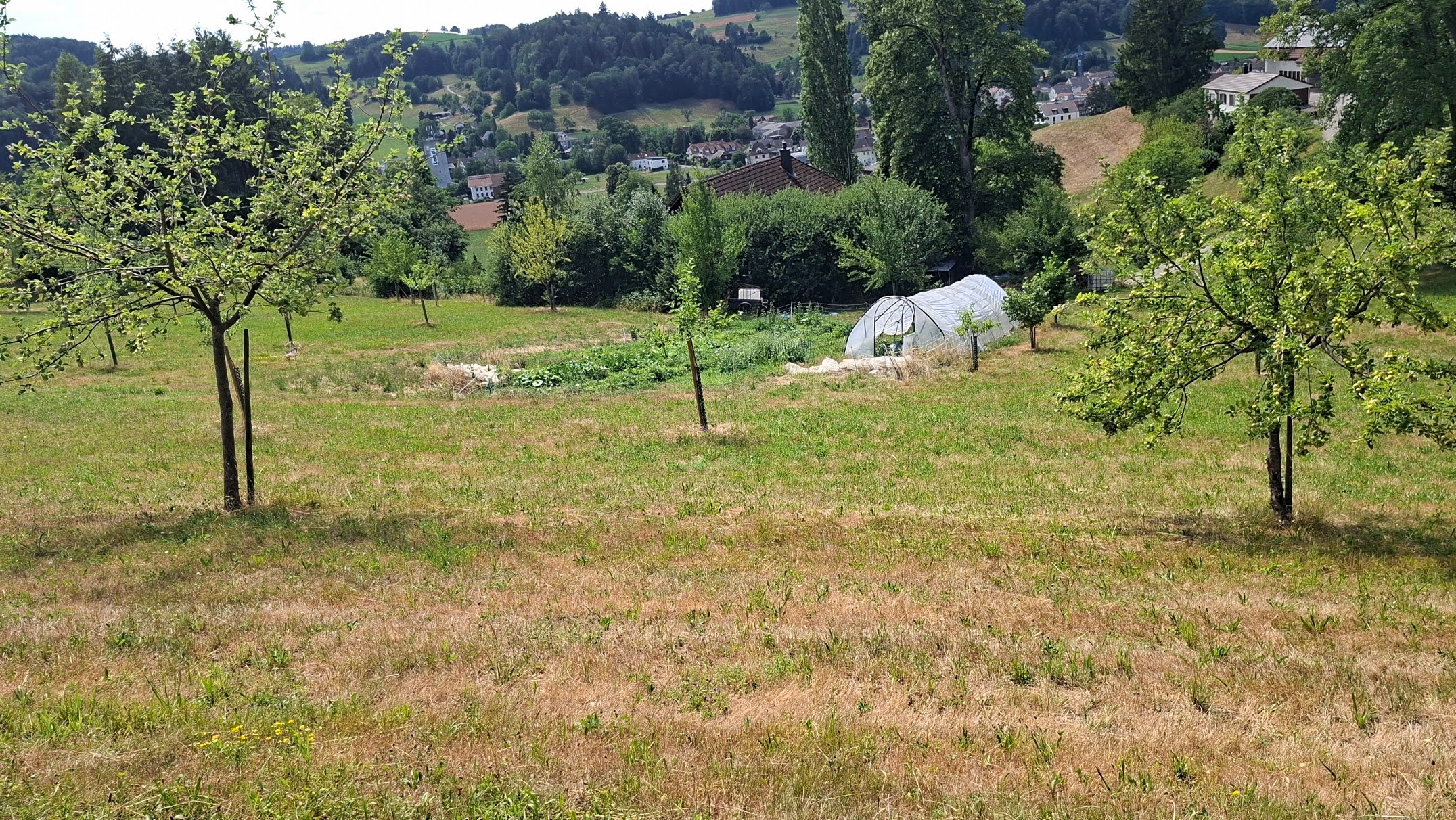 20260706_151832.jpg