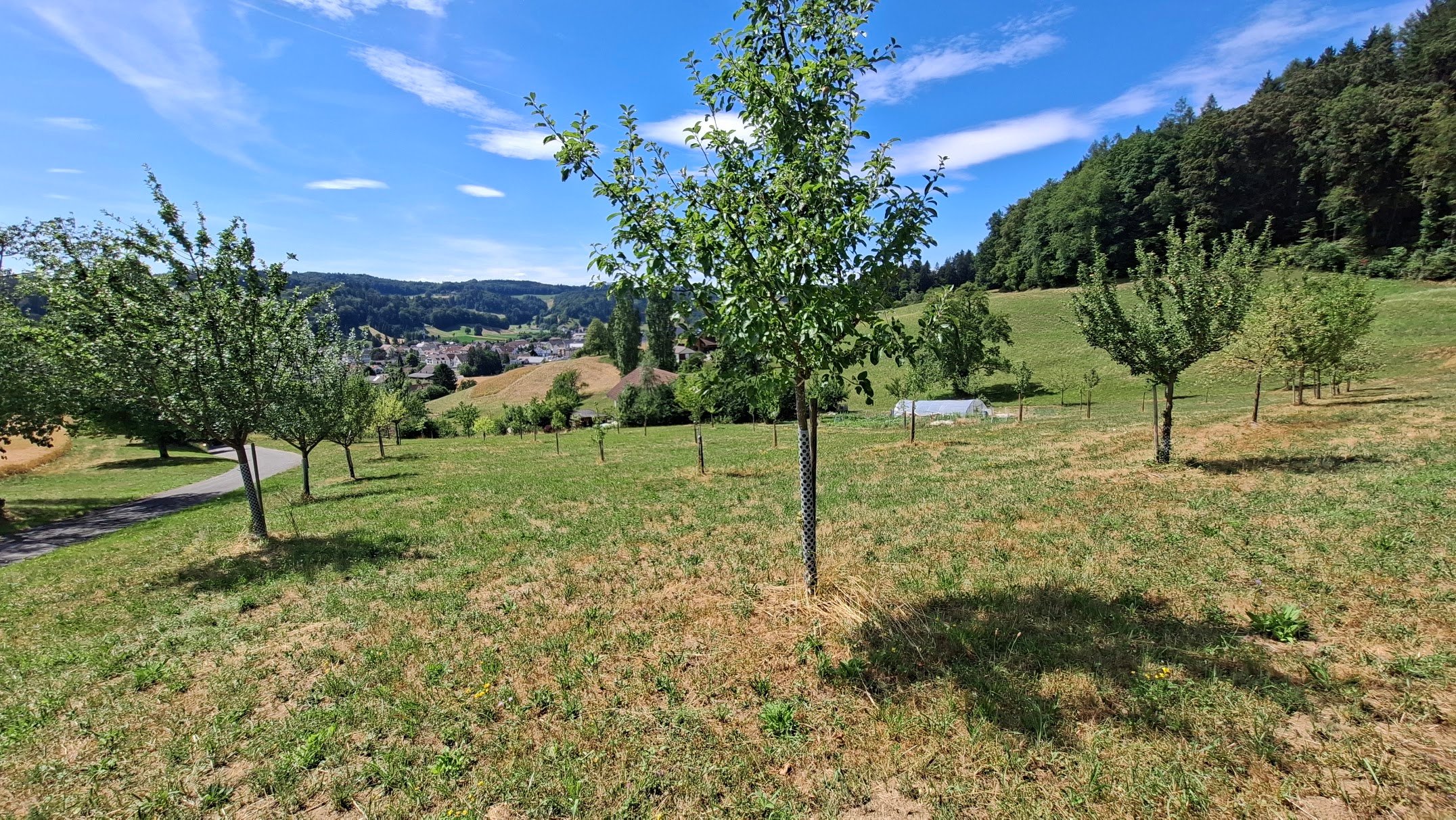 20260706_152539.jpg