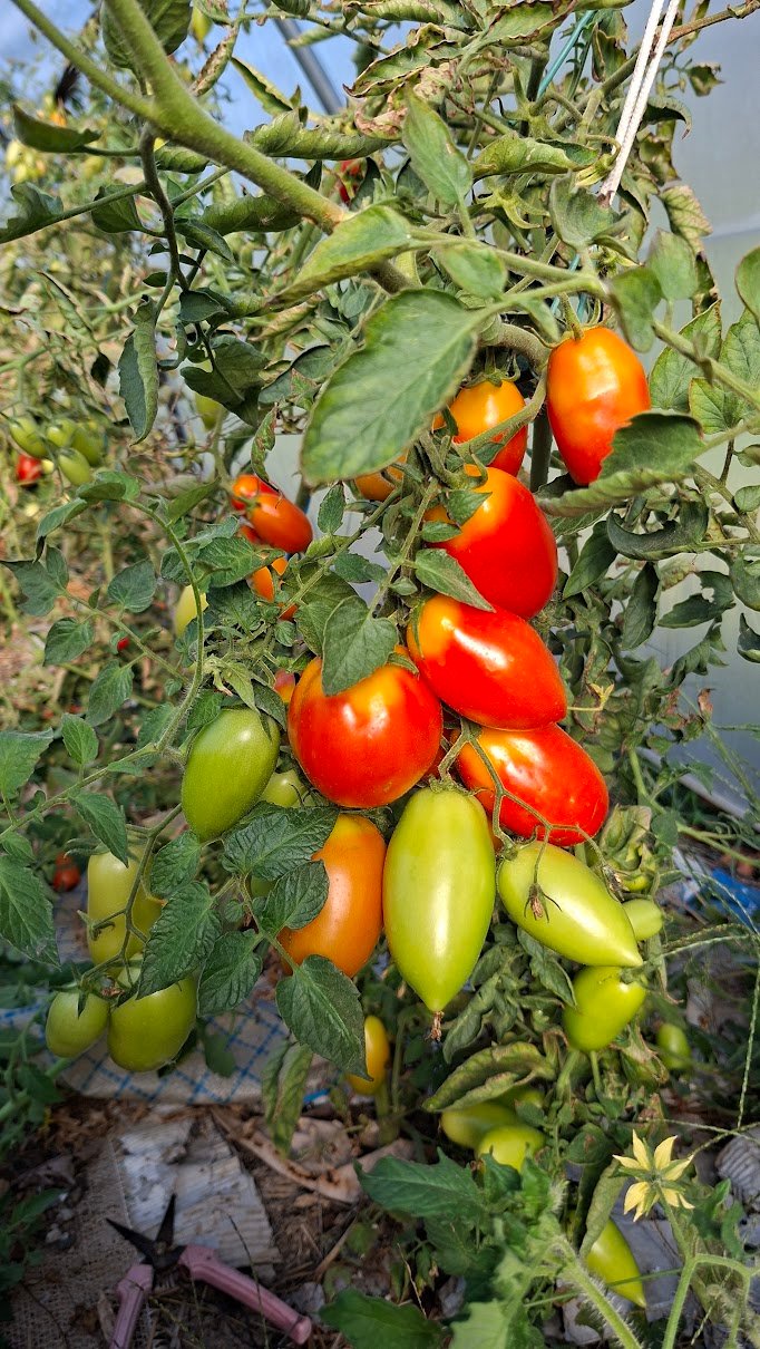 20260912_095453neu.jpg