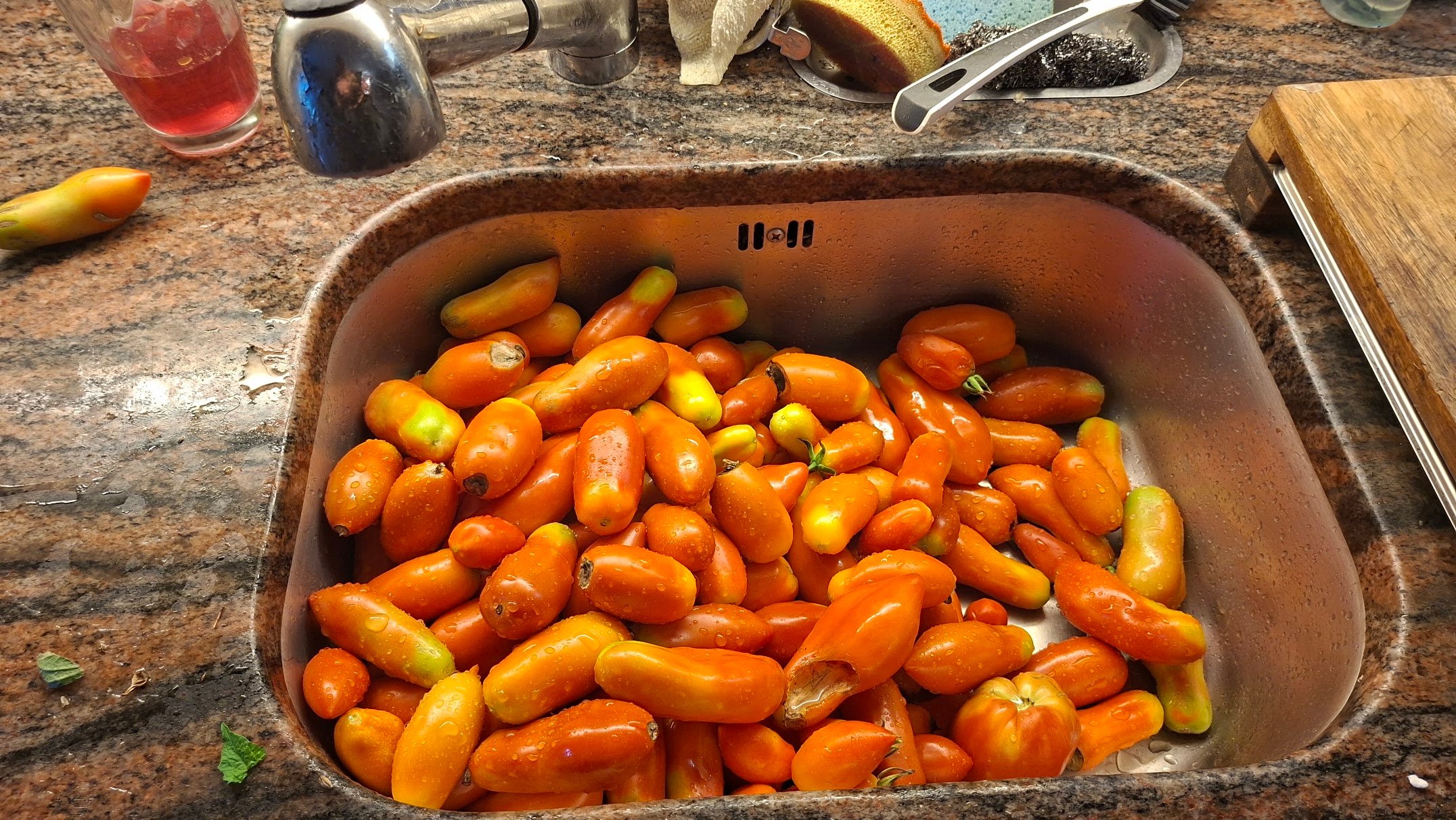 20260924_092435.jpg