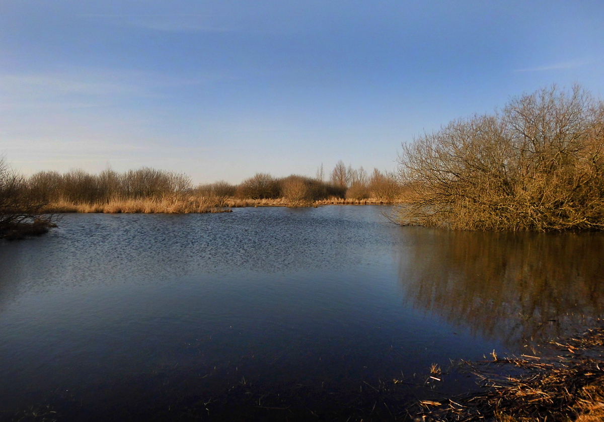 20_Weiher-Oekopfad.jpg
