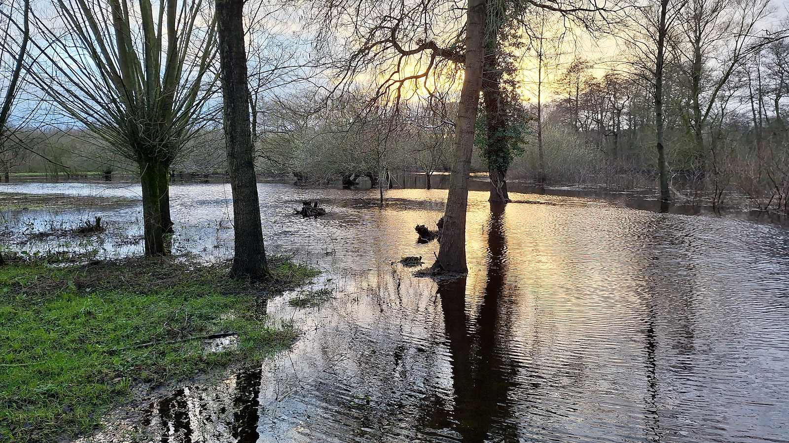 25-Glaner_Heide_unter_Wasser.jpg
