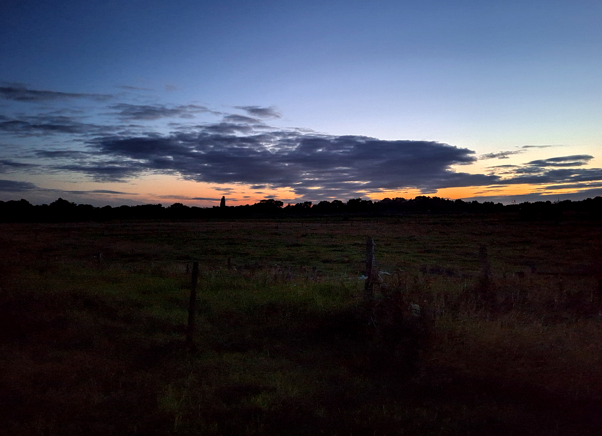 26072023_06-Hasbergen.jpg