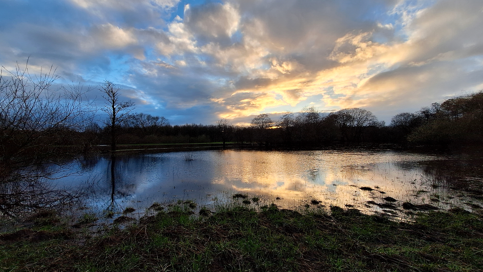 28-Glaner_Heide_unter_Wasser.jpg