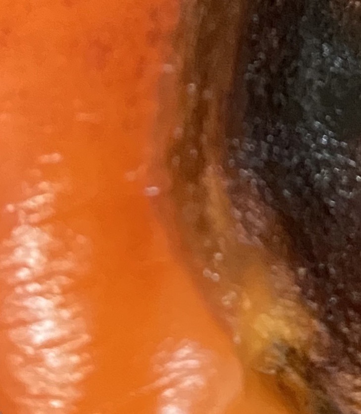 28277889-19E0-4230-8091-AD465BAE9413.jpeg