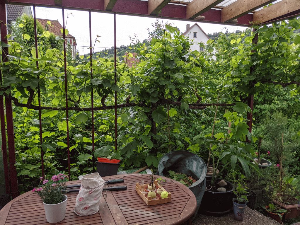 58 - Pergola.jpg