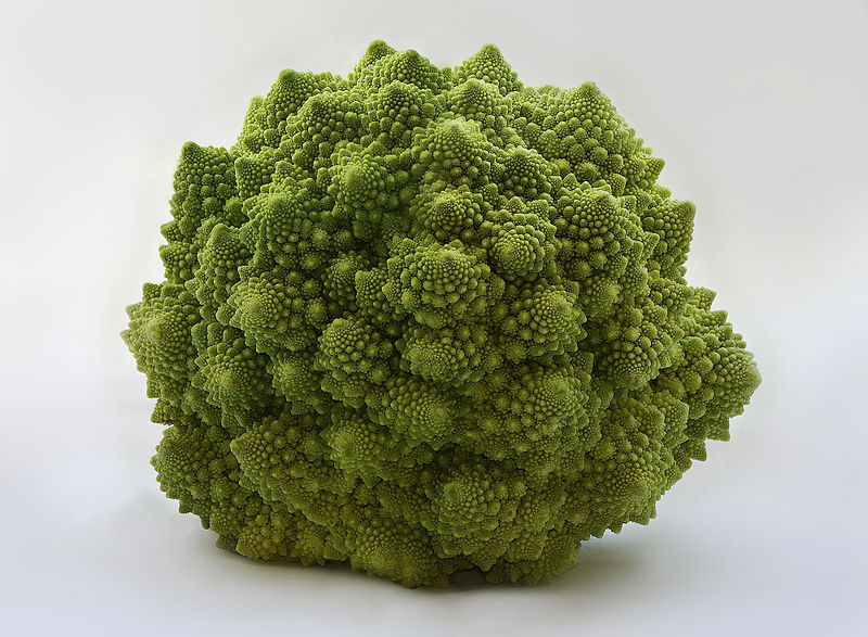 800px-Romanesco_Brassica_oleracea_Richard_Bartz.jpg