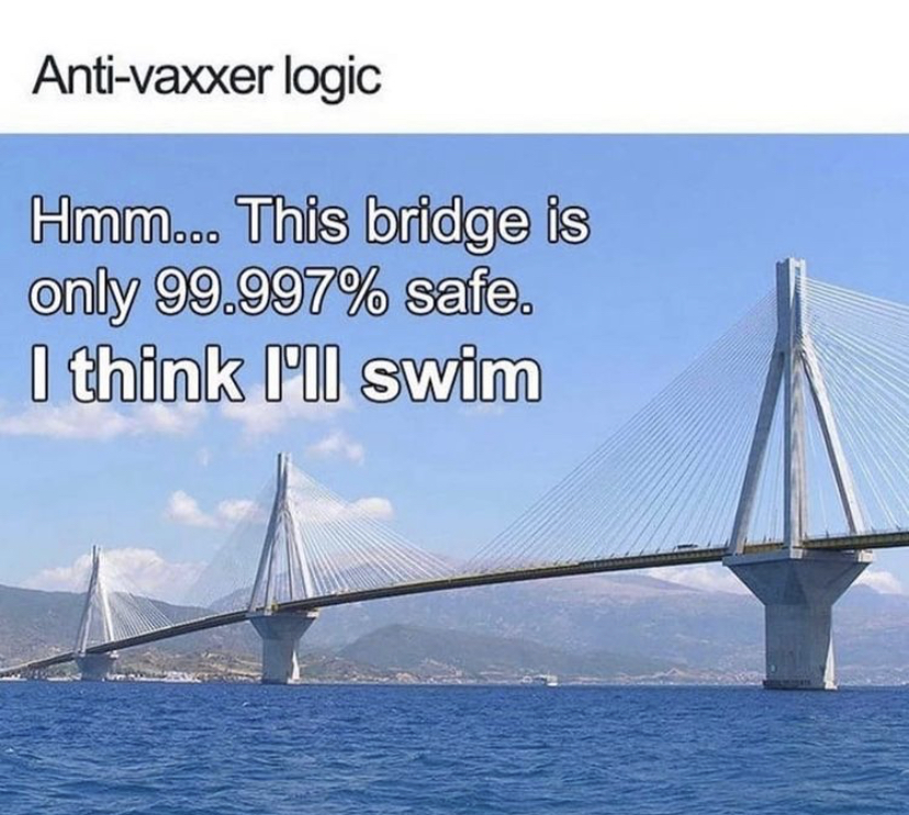 86524789.jpg