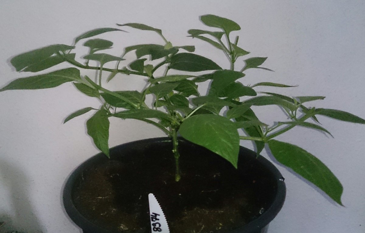 _20180315_111732.JPG