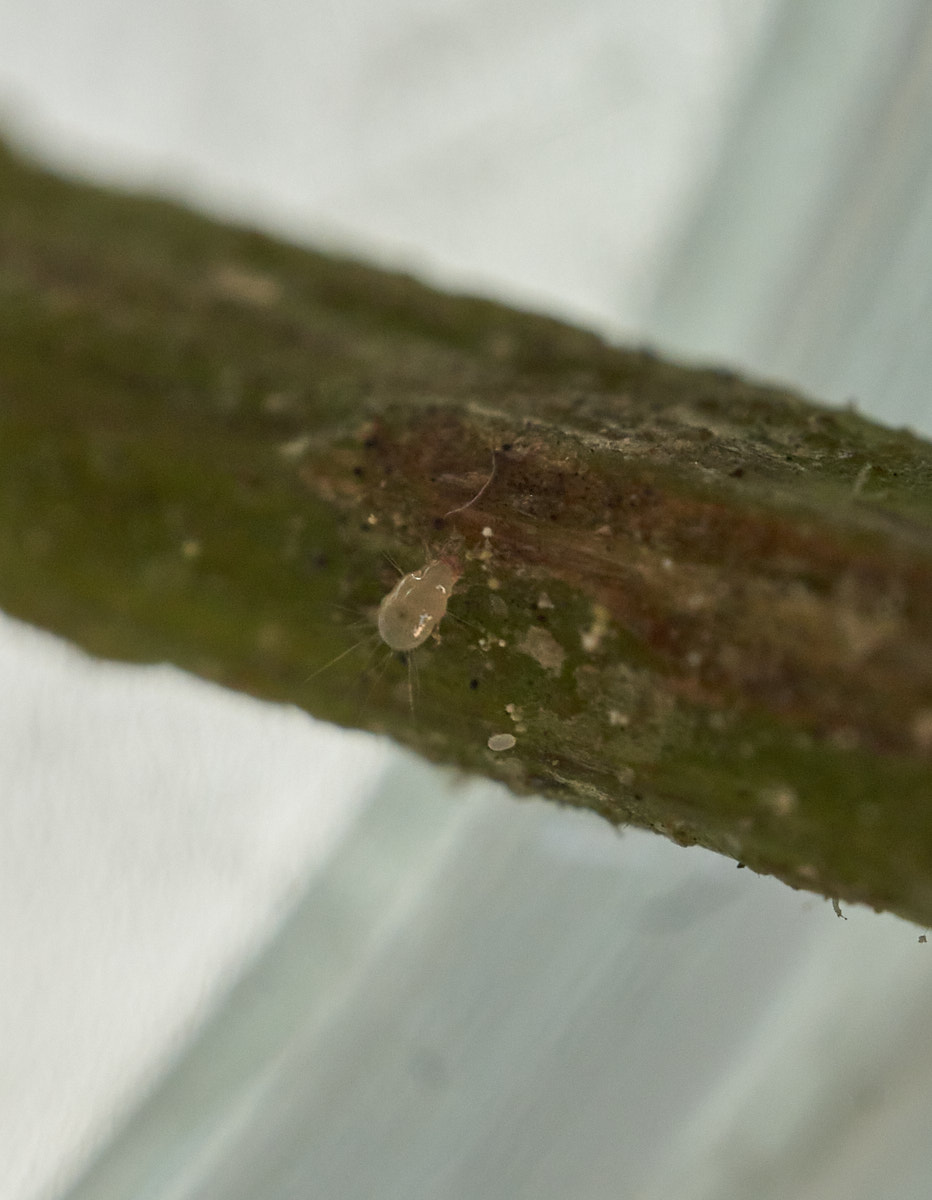 _DSC9933_cap1_small 1.jpg