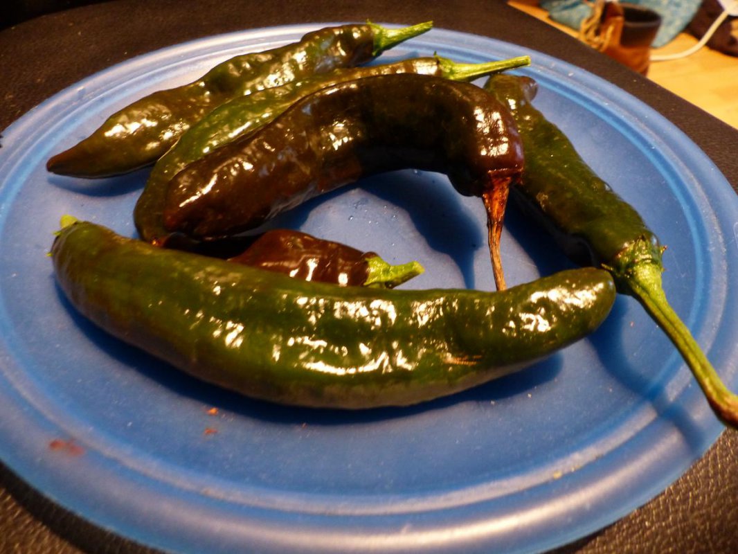 ajipanca.jpg