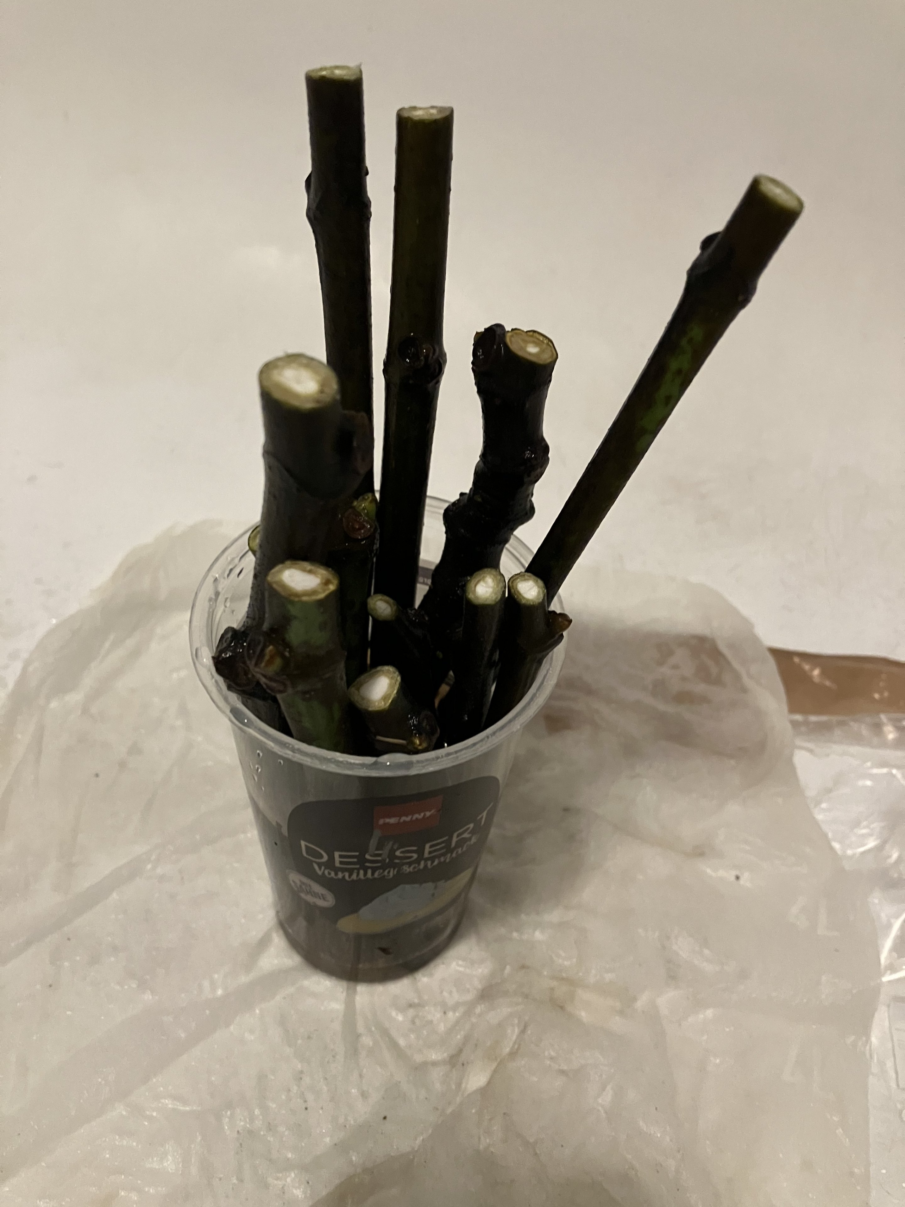 BA1C8F7A-BC3F-40DF-B600-6AF98FC55FEB.jpeg