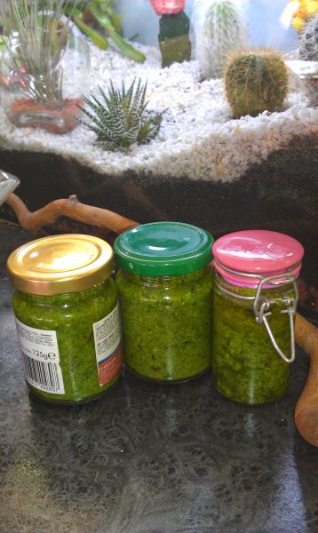 Bärlauchpesto (4).jpg