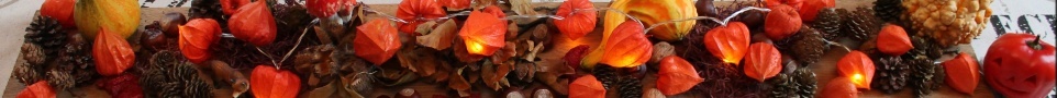 Banner Herbst.jpg