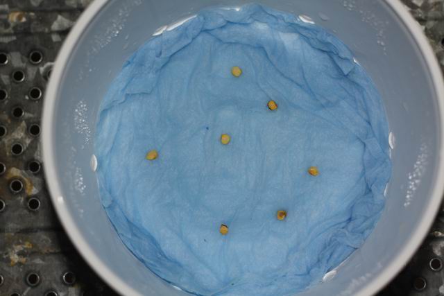 Bild 245.jpg