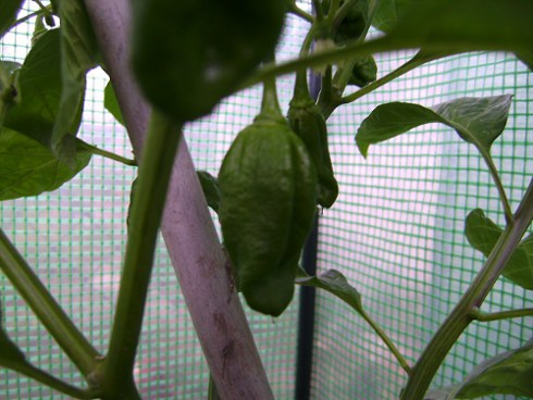 BILD0871.JPG