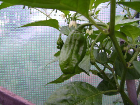 BILD0878.JPG