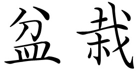 bon-sai.jpg